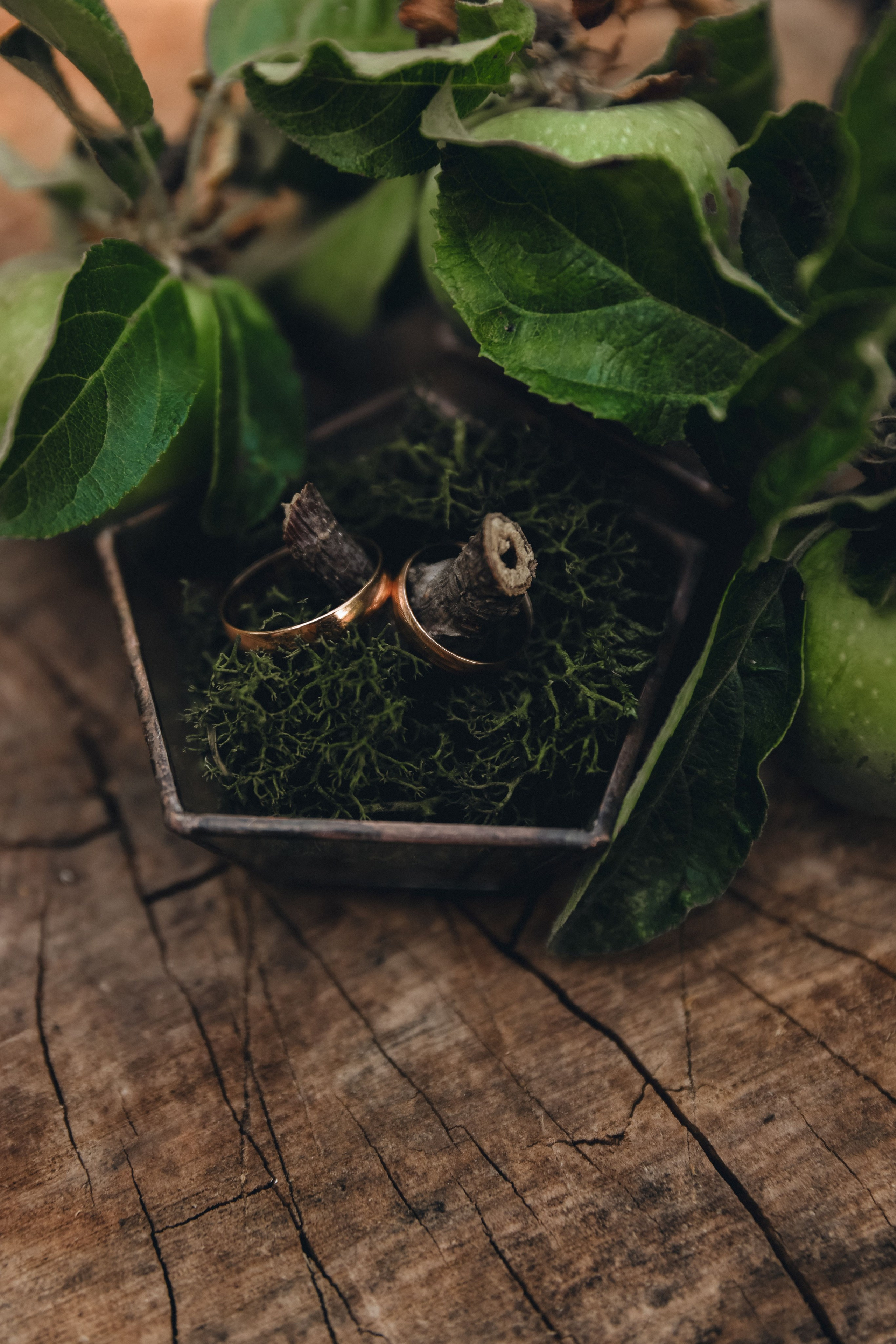 Свадьба Игорь и Оксана. Свадебный и семейный фотограф в Севастополе и Крыму Анастасия Сураева