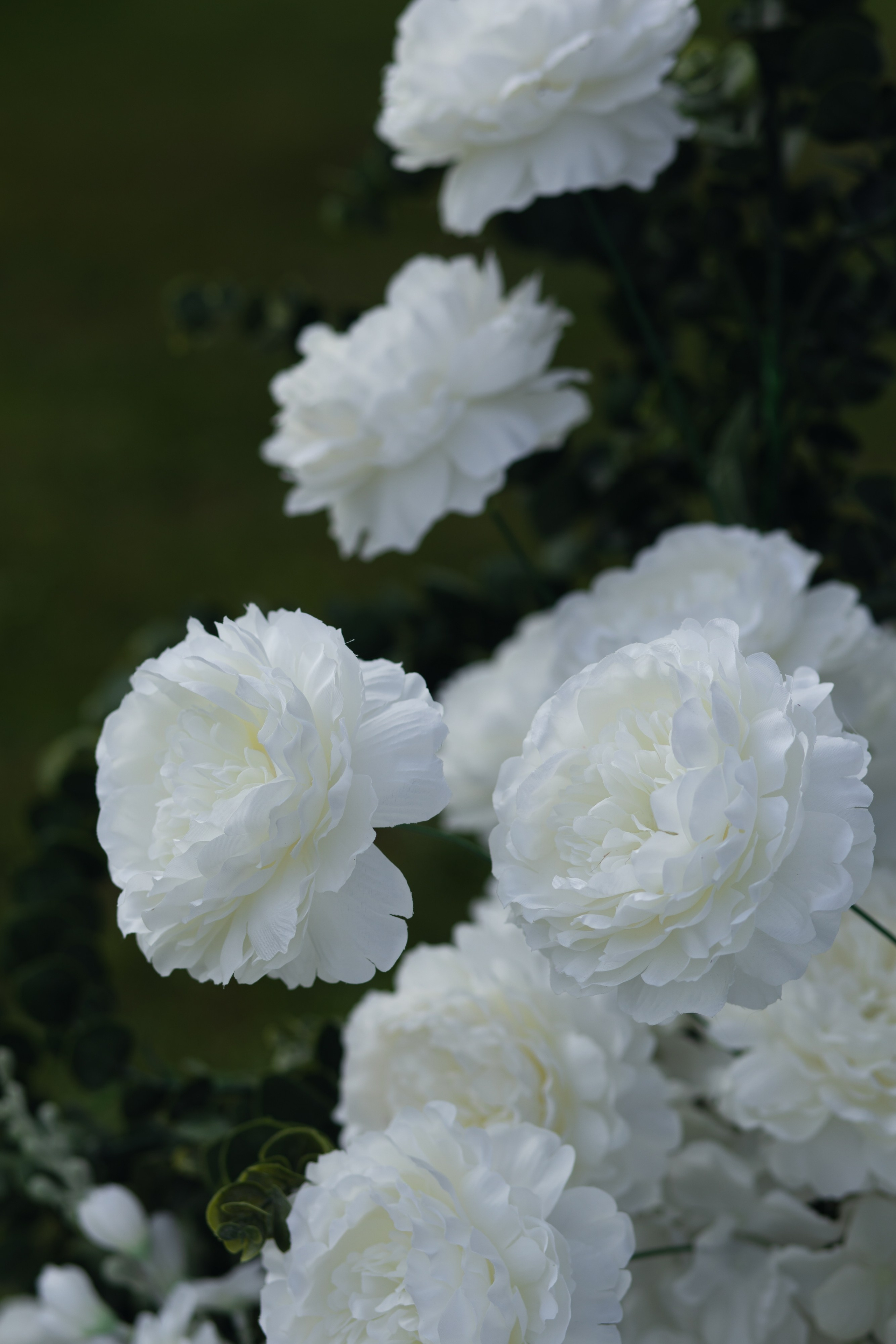 Давай сбежим. Дубинкина Екатерина Фотограф Рязань, Москва