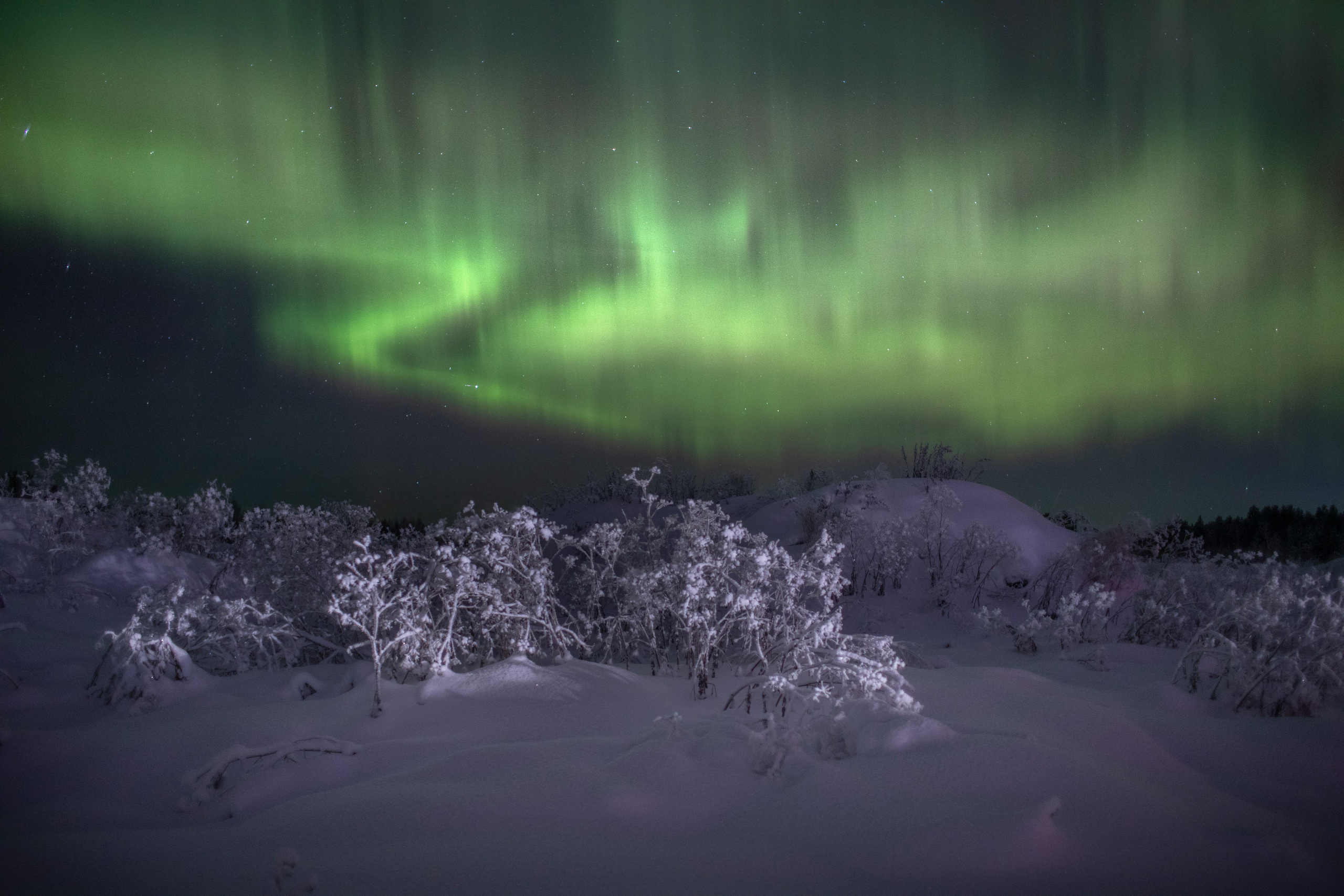 Северное сияние. Фотограф Татьяна Борисова