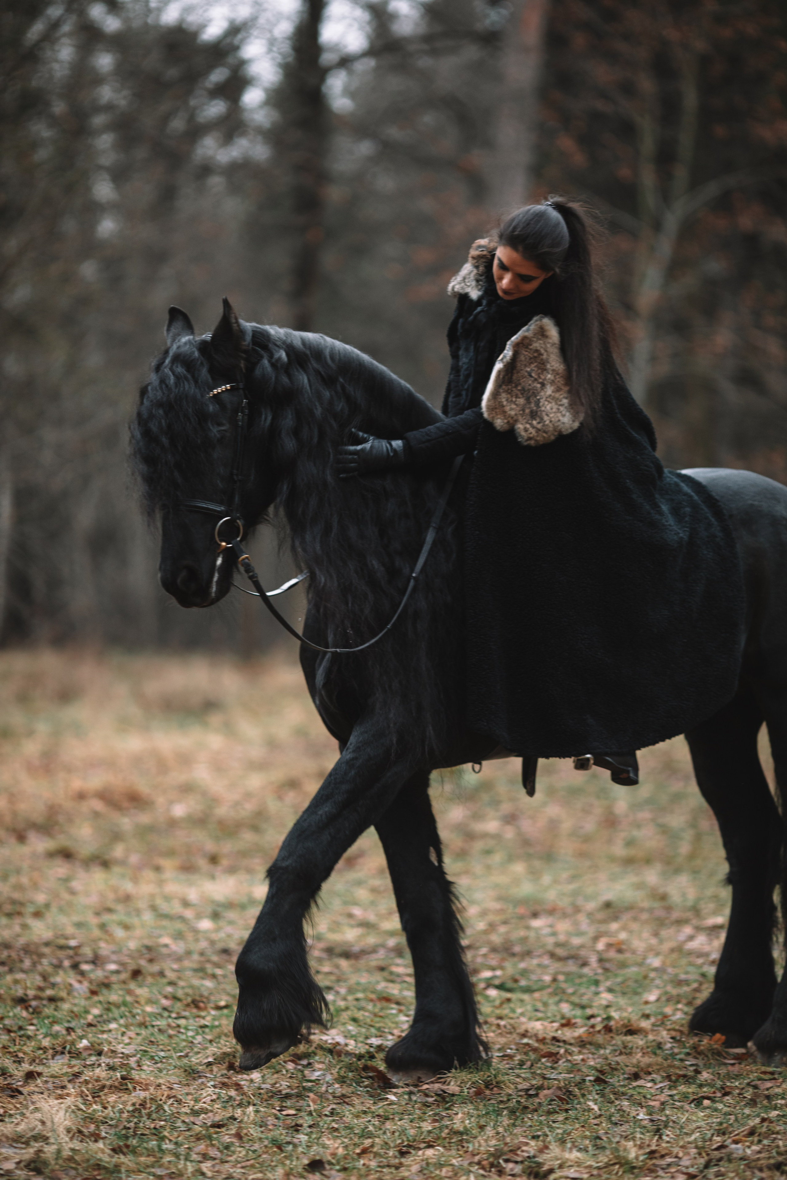 Наташа с фризом в костюме викинга. Фотосессии с лошадьми
