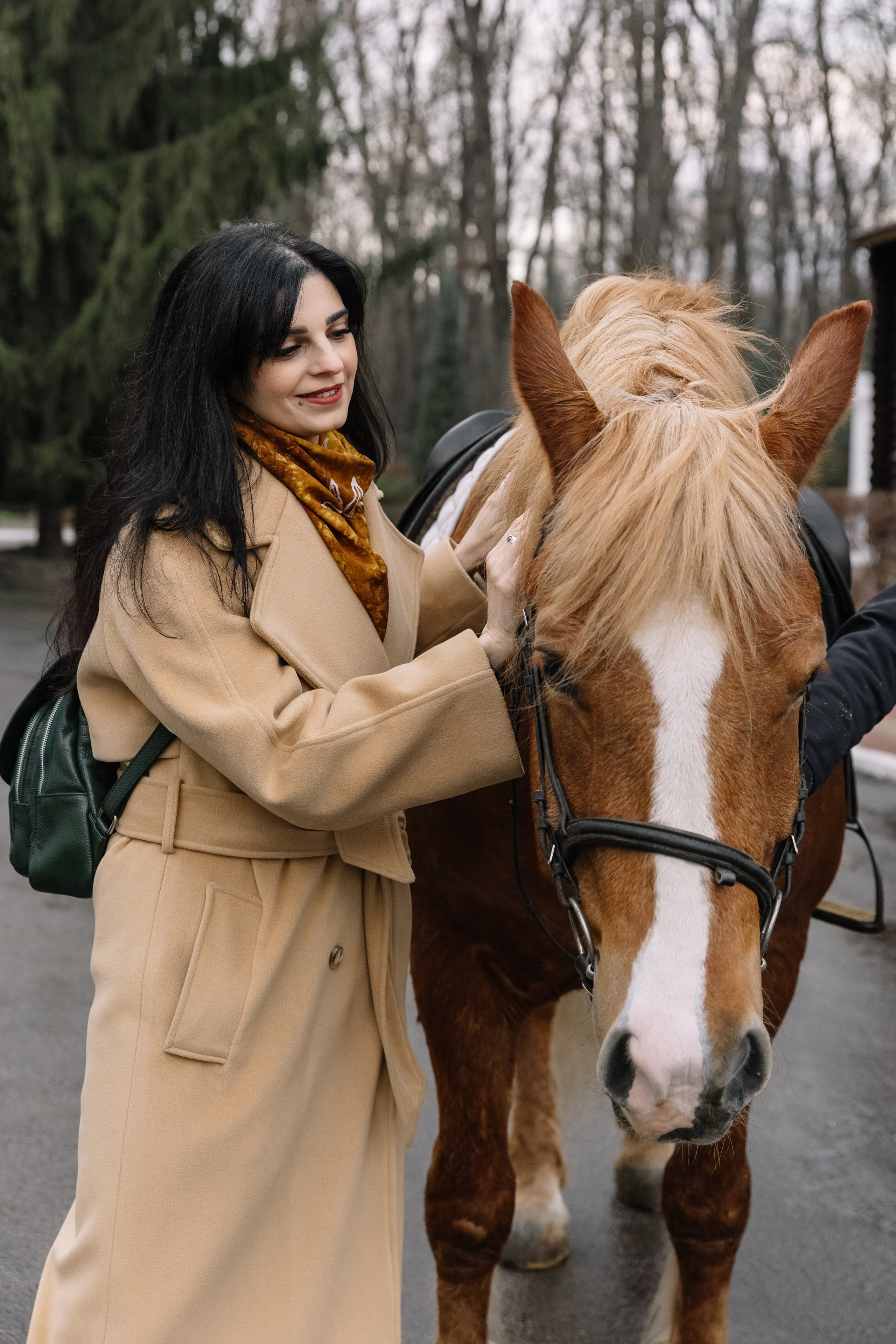 День Орловского рысака. Парк-отель Яр. Свадебный, репортажный фотограф Ирина Шкурина