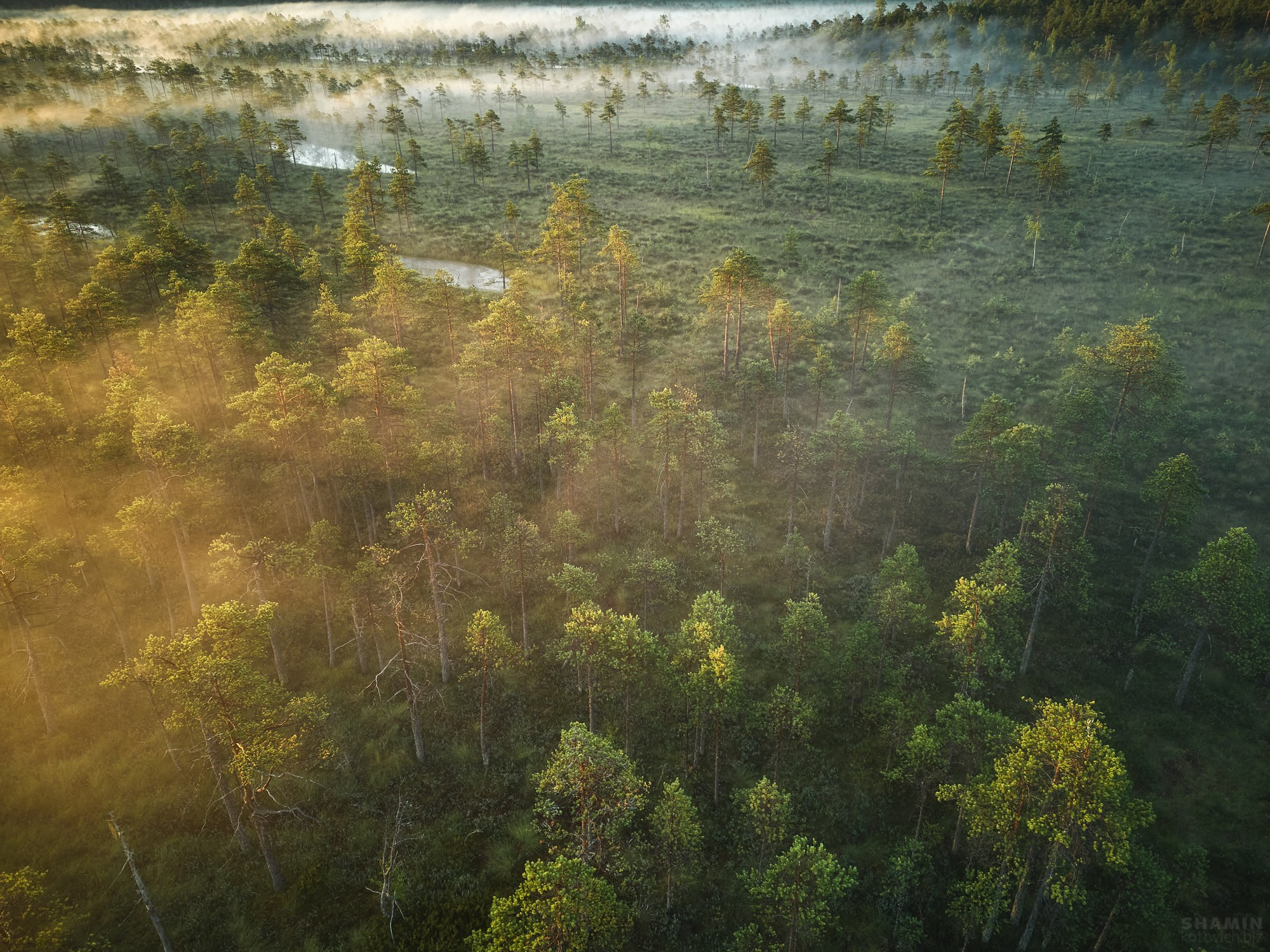 Прогнозирование и съемка туманов. Фотограф Константин Шамин