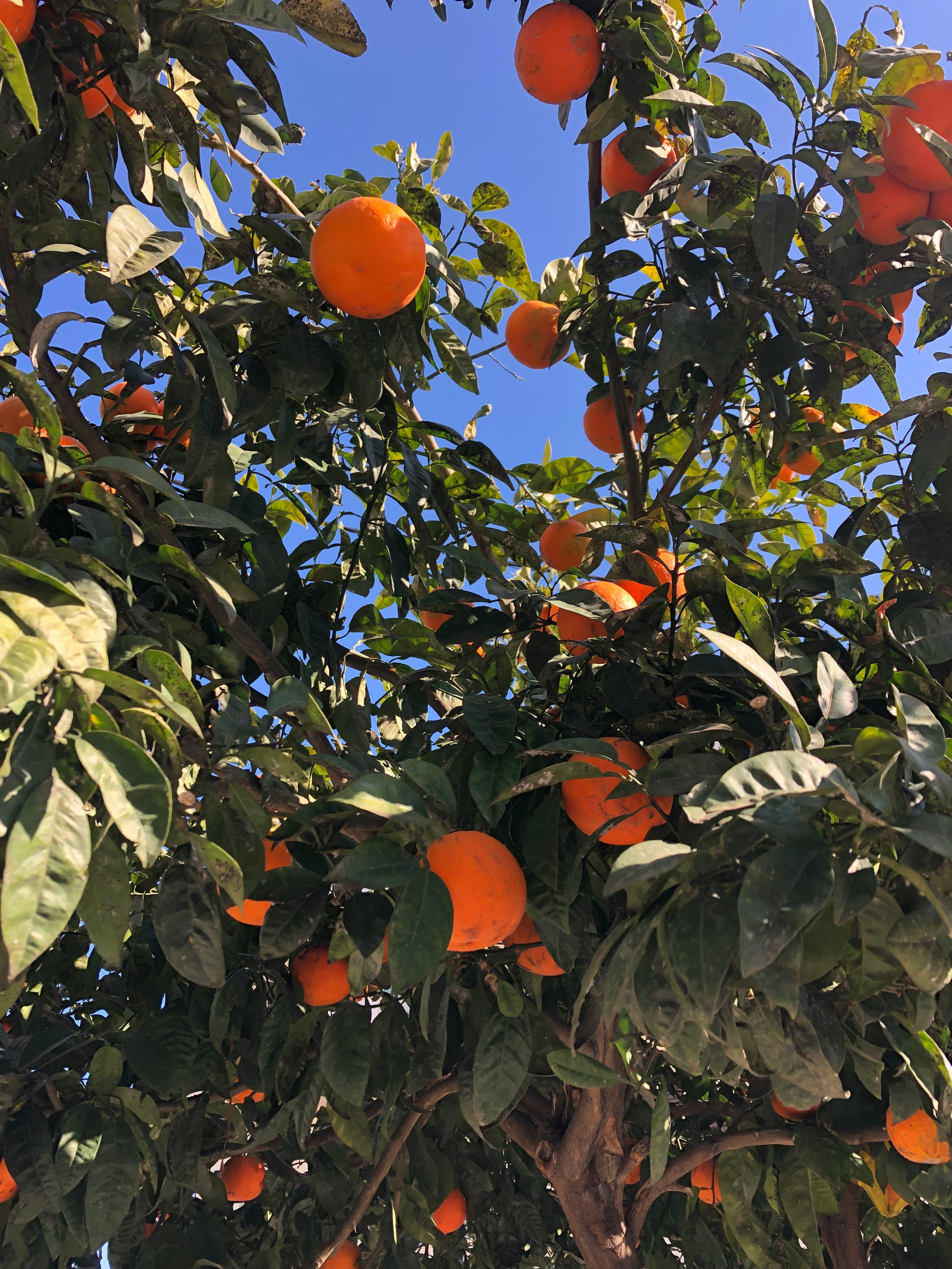 Остров Кос 🇬🇷. Anita_photo