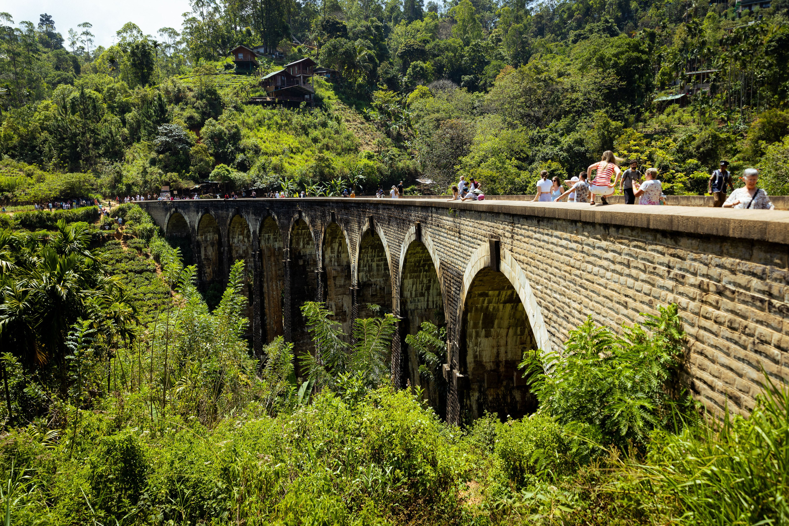 Шри-Ланка (весна 2024). Фотограф Виноградов Константин