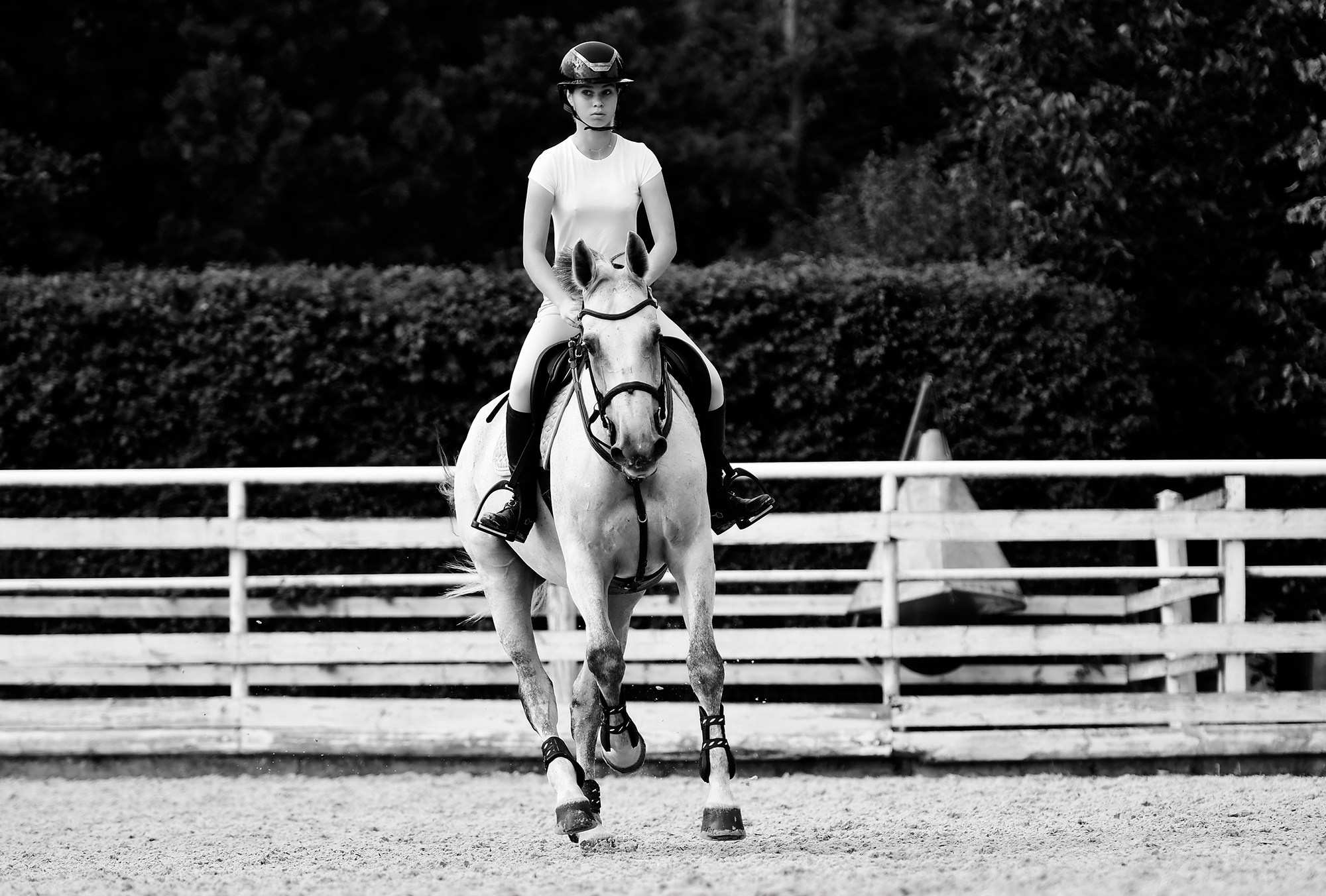 Тренировки. Конный фотограф Alesya Safe