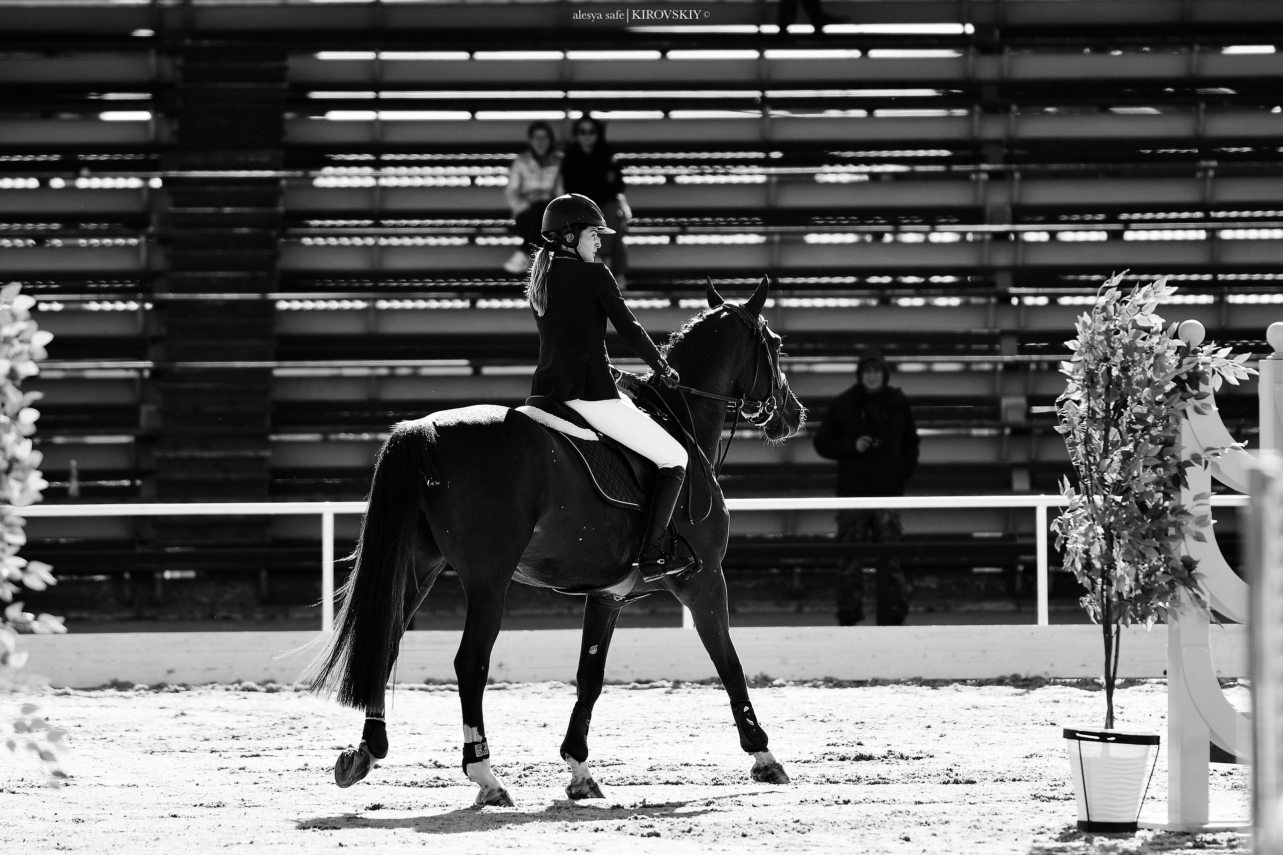 Кировский конный завод. Конный фотограф Alesya Safe