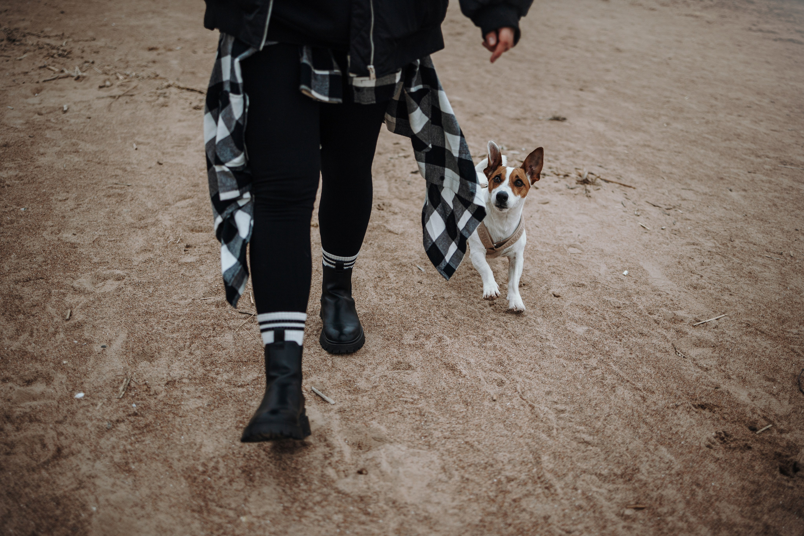 Саша и Джеки. Фотограф — Анималист | Санкт-Петербург