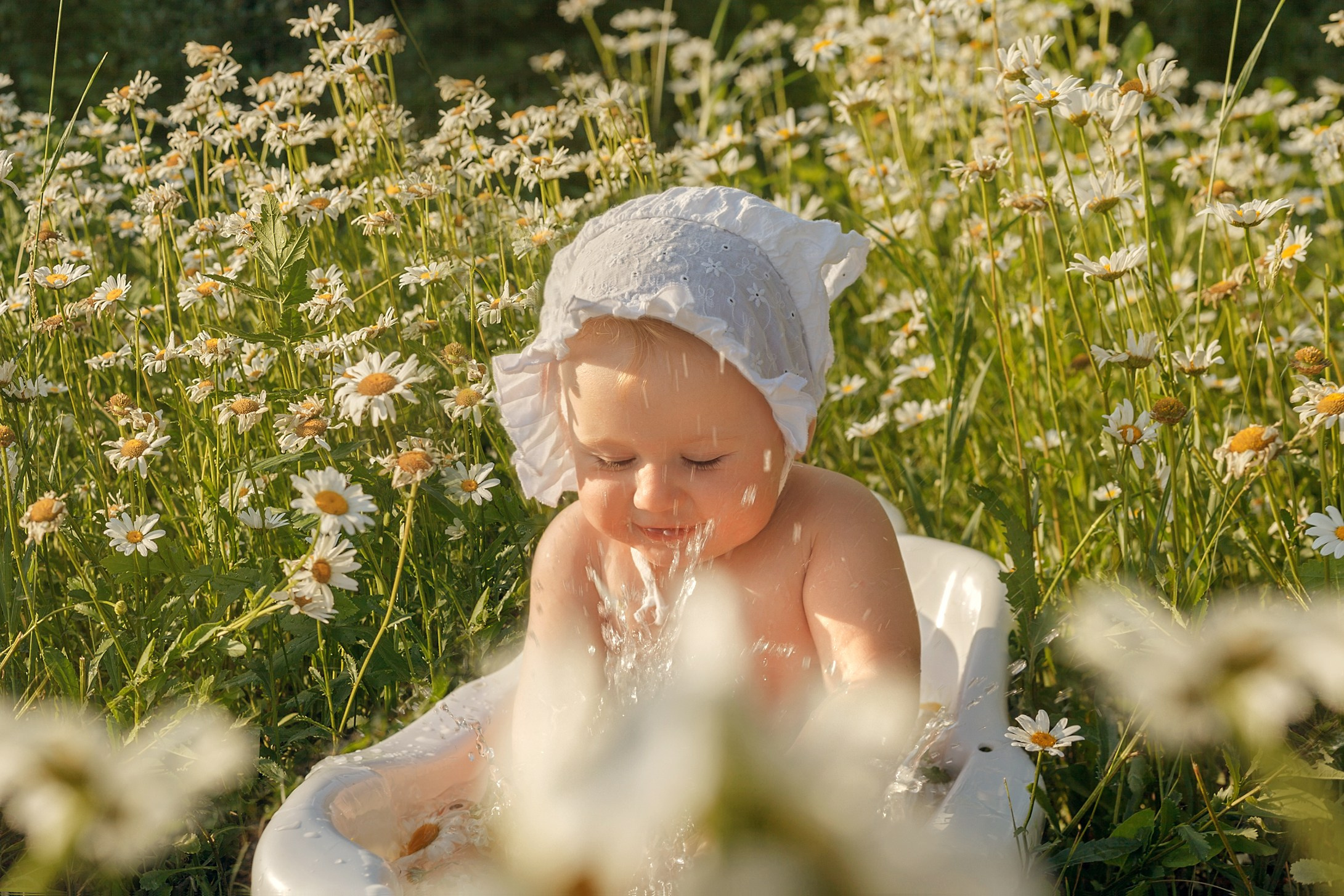 Ромашки. Детский и семейный фотограф в Бердске и Новосибирске Дарья Гребнева