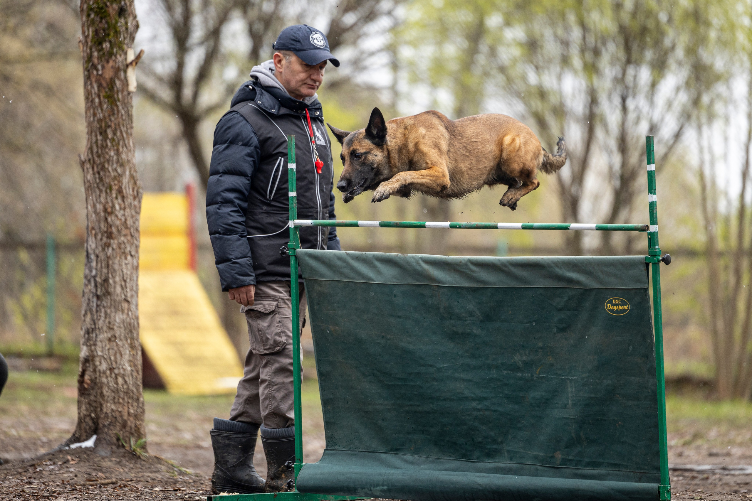 Квалификационные состязания по мондьорингу г. Вологда 11.05.24. Фотограф-анималист Анна Маринич