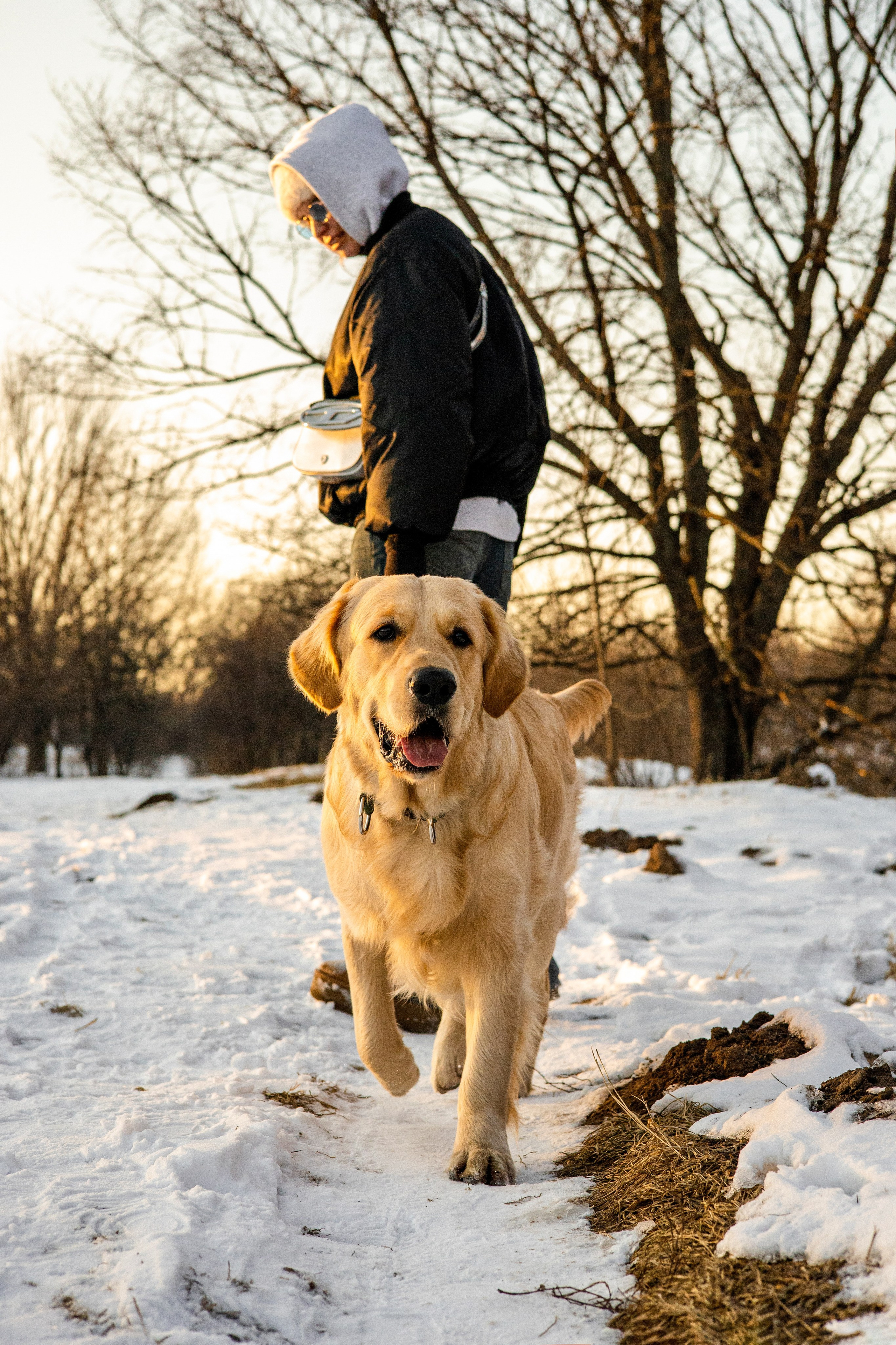 Ларри и его семья. Фотограф-анималист Ксения Шевцова|Москва