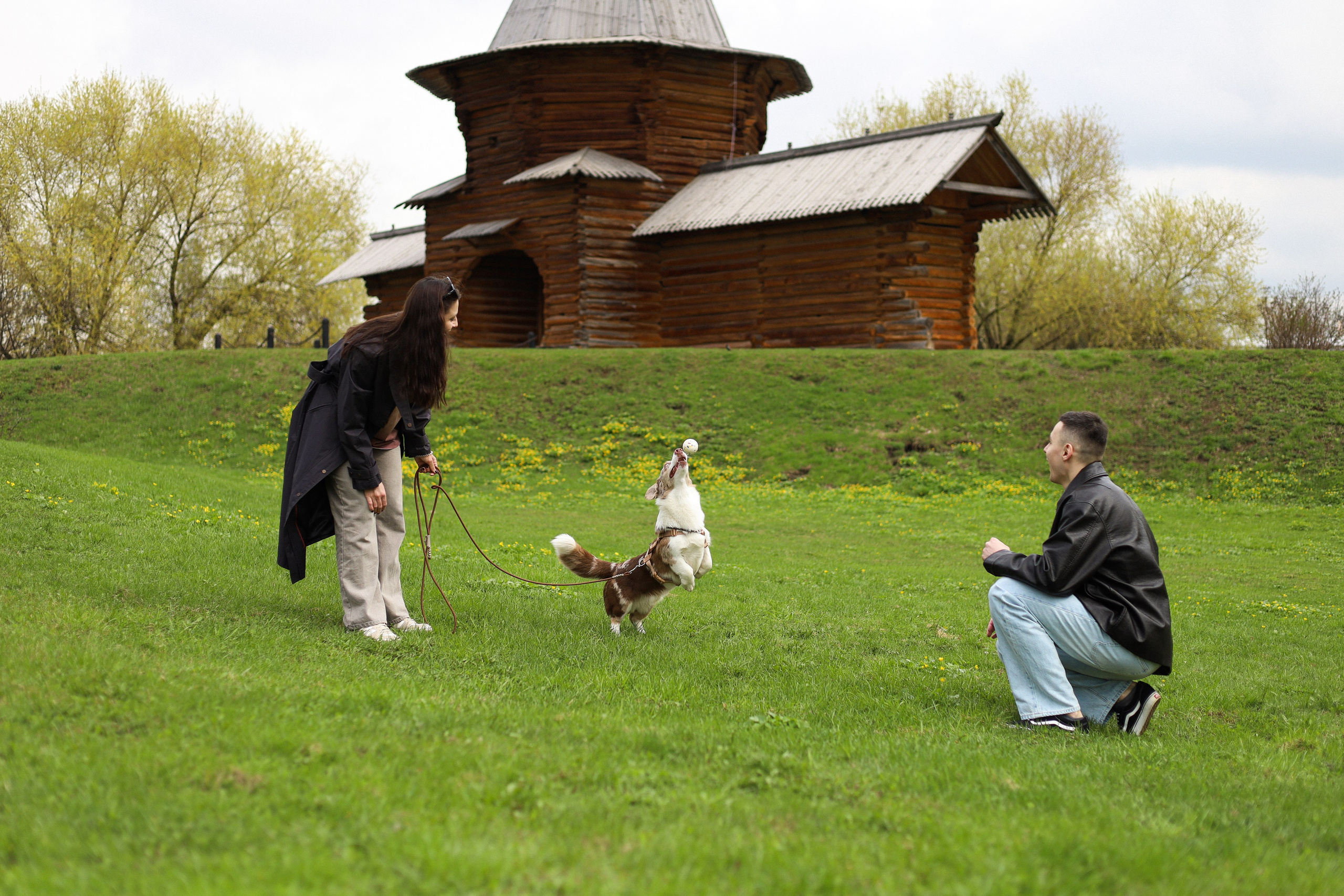Анджей, Софья и Андрей. Фотограф-анималист Ксения Шевцова|Москва