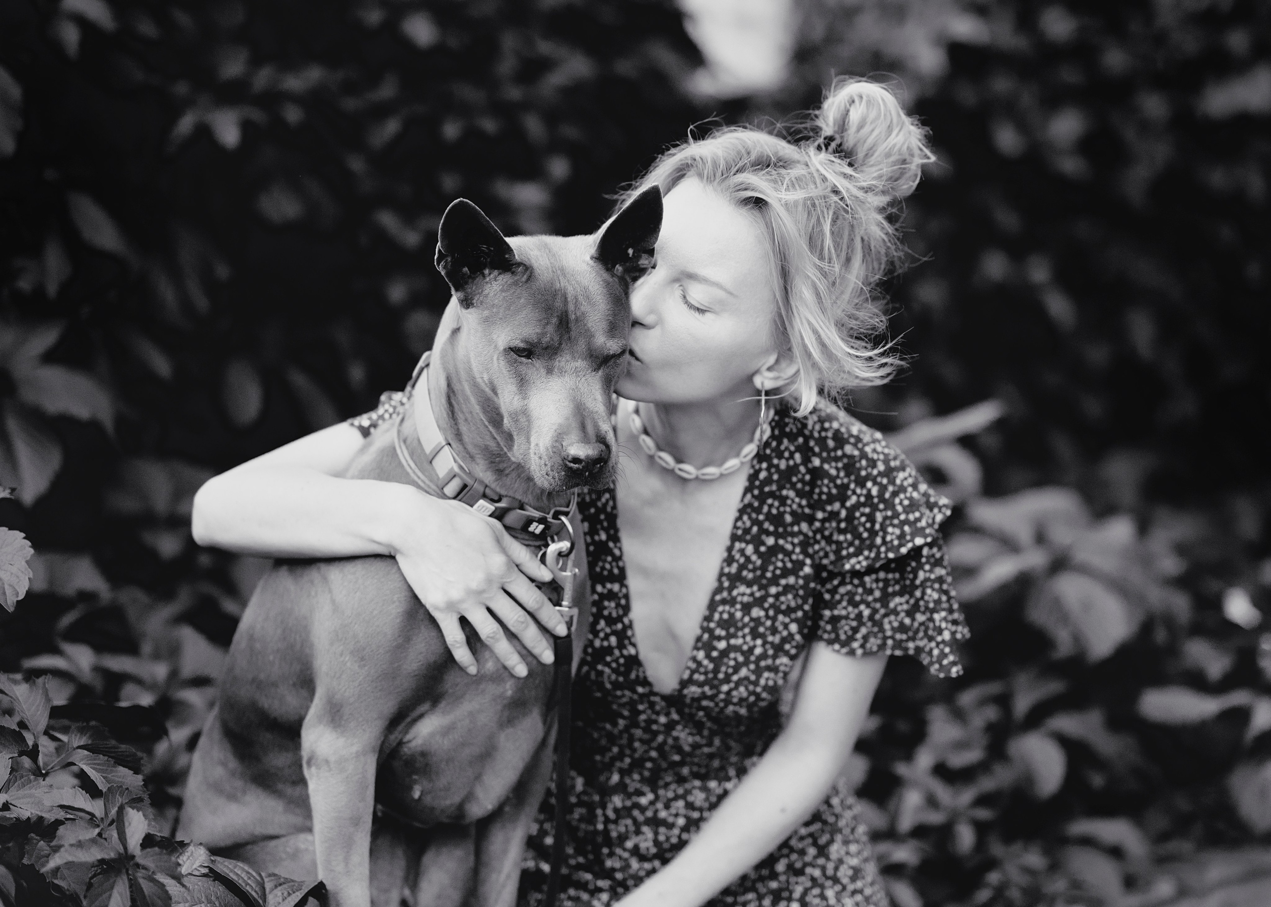 Шарма. Фотограф- анималист Александра Матвеева