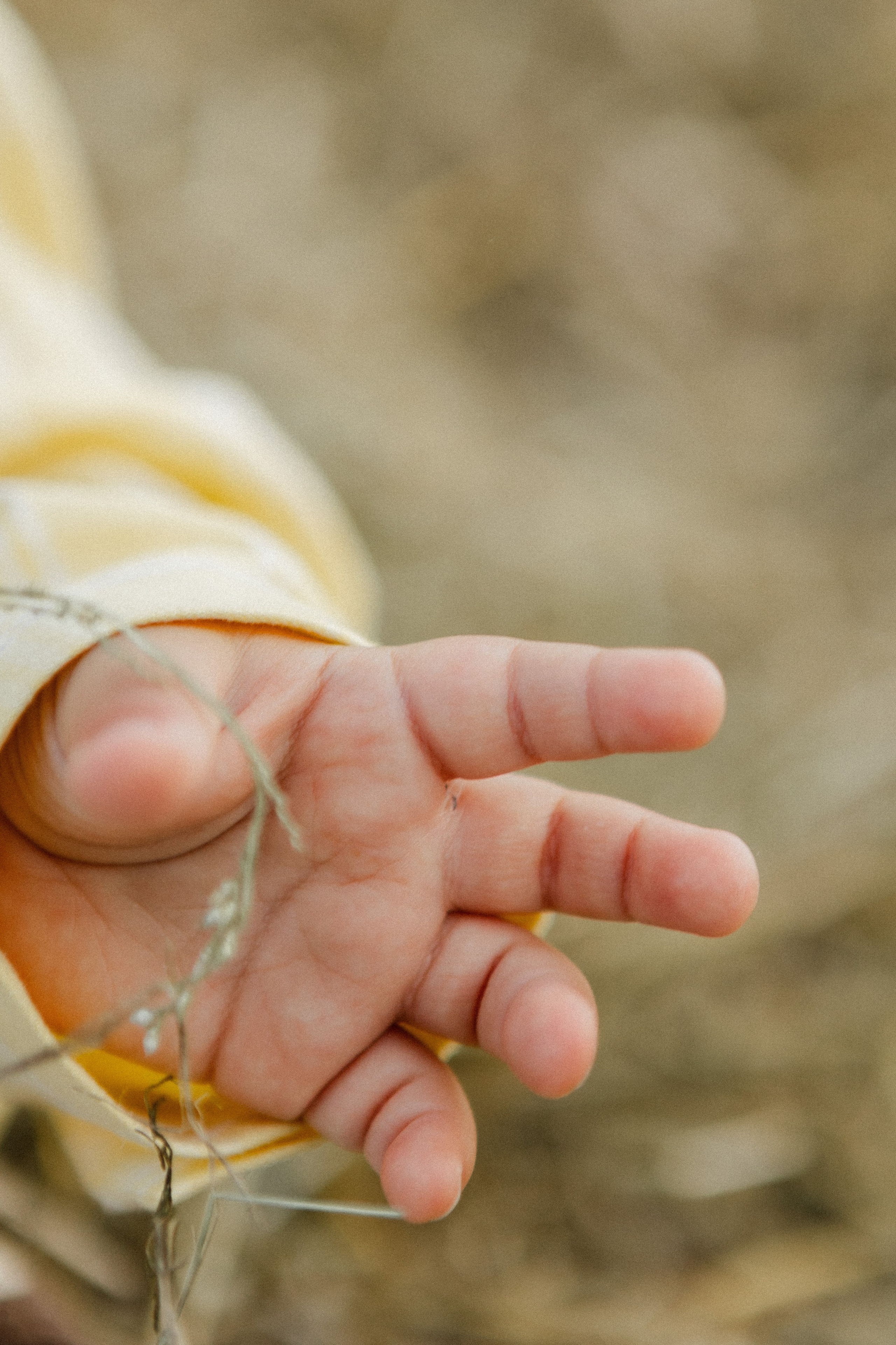 Годовасик. Семейный фотограф в Нижнем Новгороде Доронина Юлия