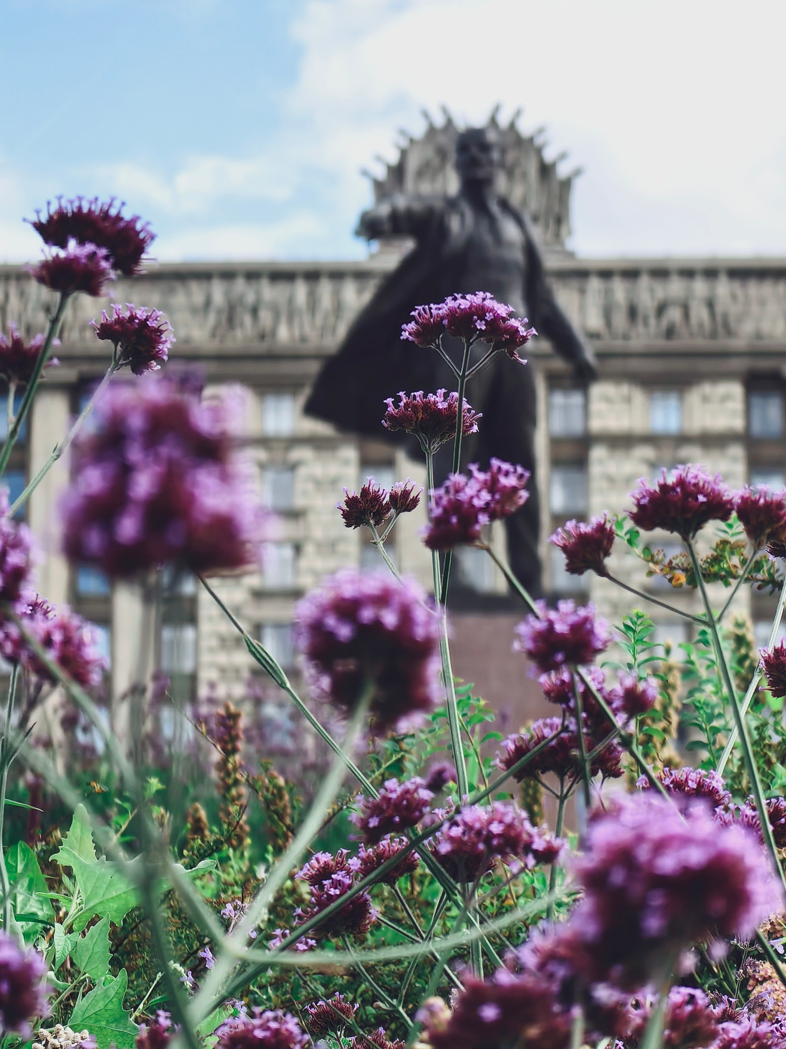 Уличная съемка. Фотограф и оператор Илья Гунбин