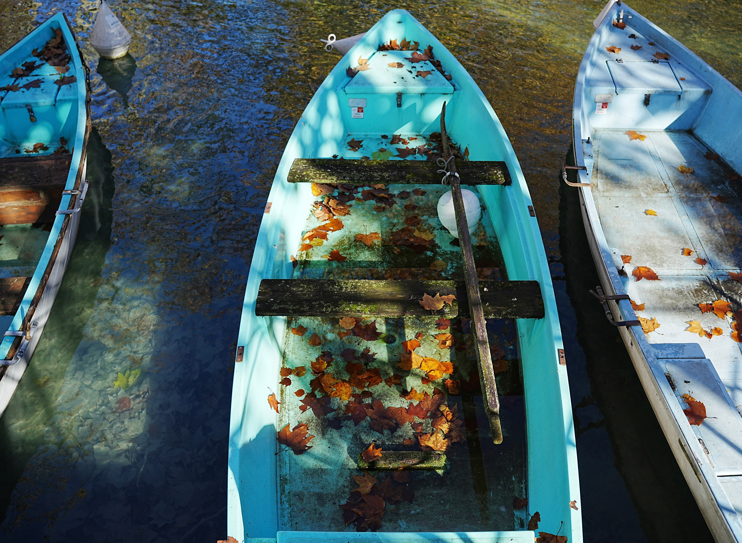 Выставка. Fotографиня из Санкт-Петербурга Настя Шуман