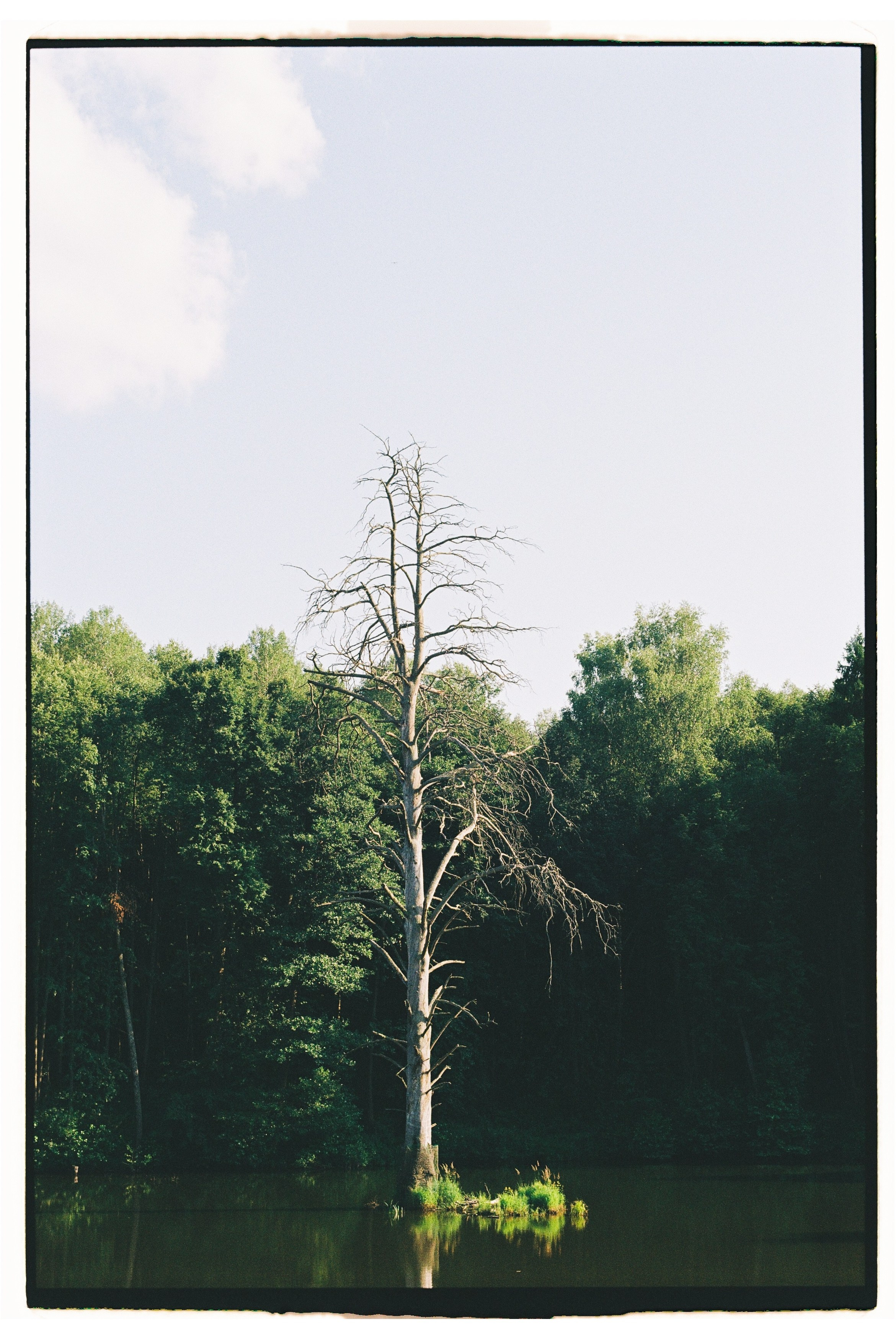 Гриша и Влада. Свадебный фотограф в Москве Евгений Рыжов