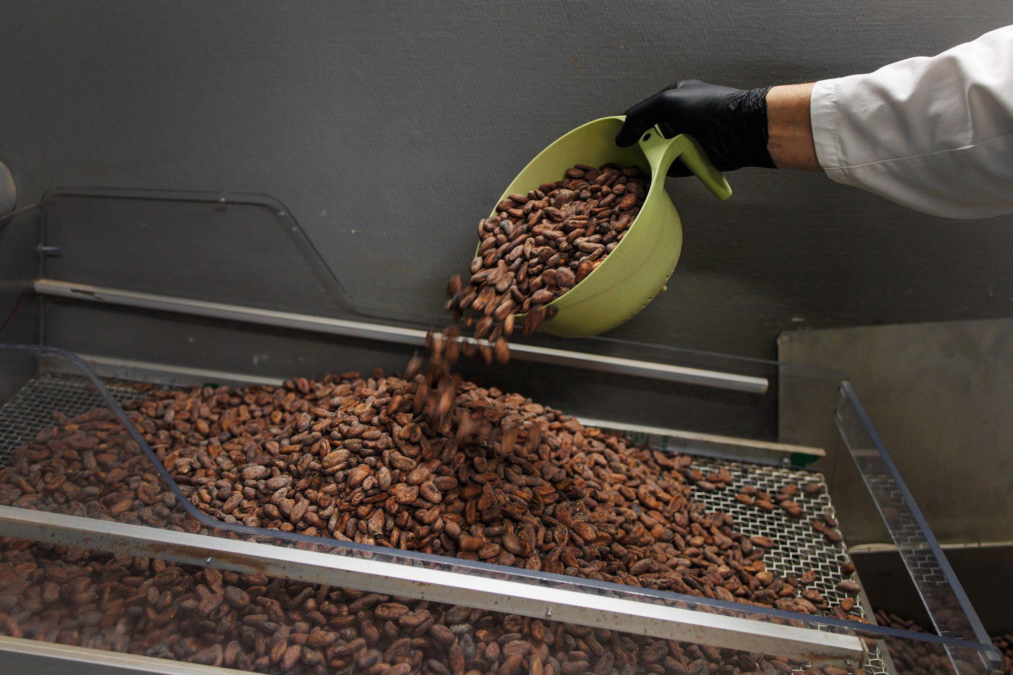 Nature's own factory. Photographer Ksenia Kolesnikova. Interior, Product, and Portrait Photography in Moscow