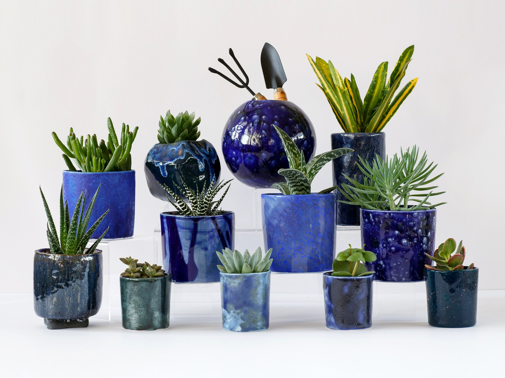 Potanica Moscow. Фотограф Ксения Колесникова. Интерьерная и портретная съемка в Москве