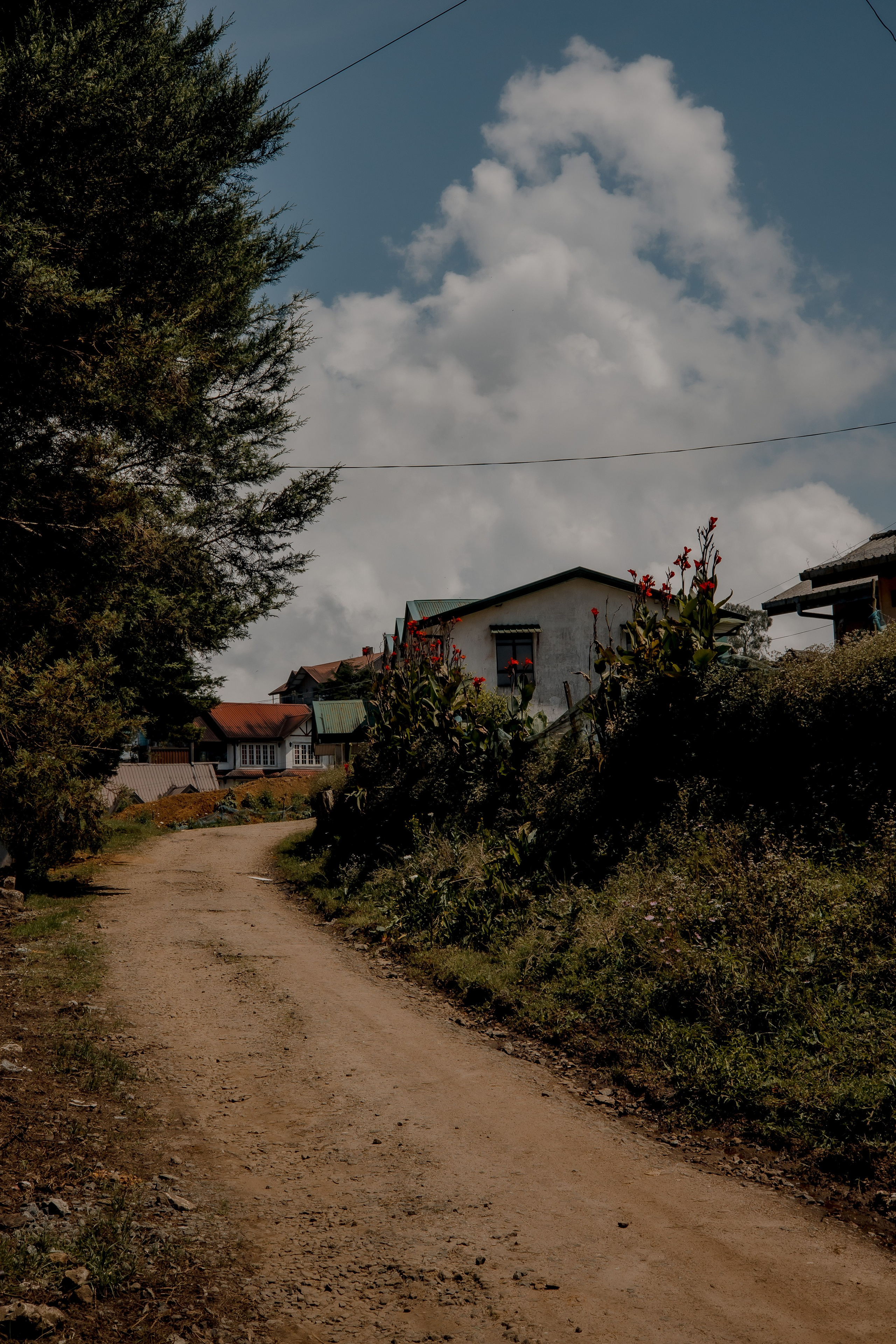 Sri Lanka, Nuwara Elia 2026. Art Photographer