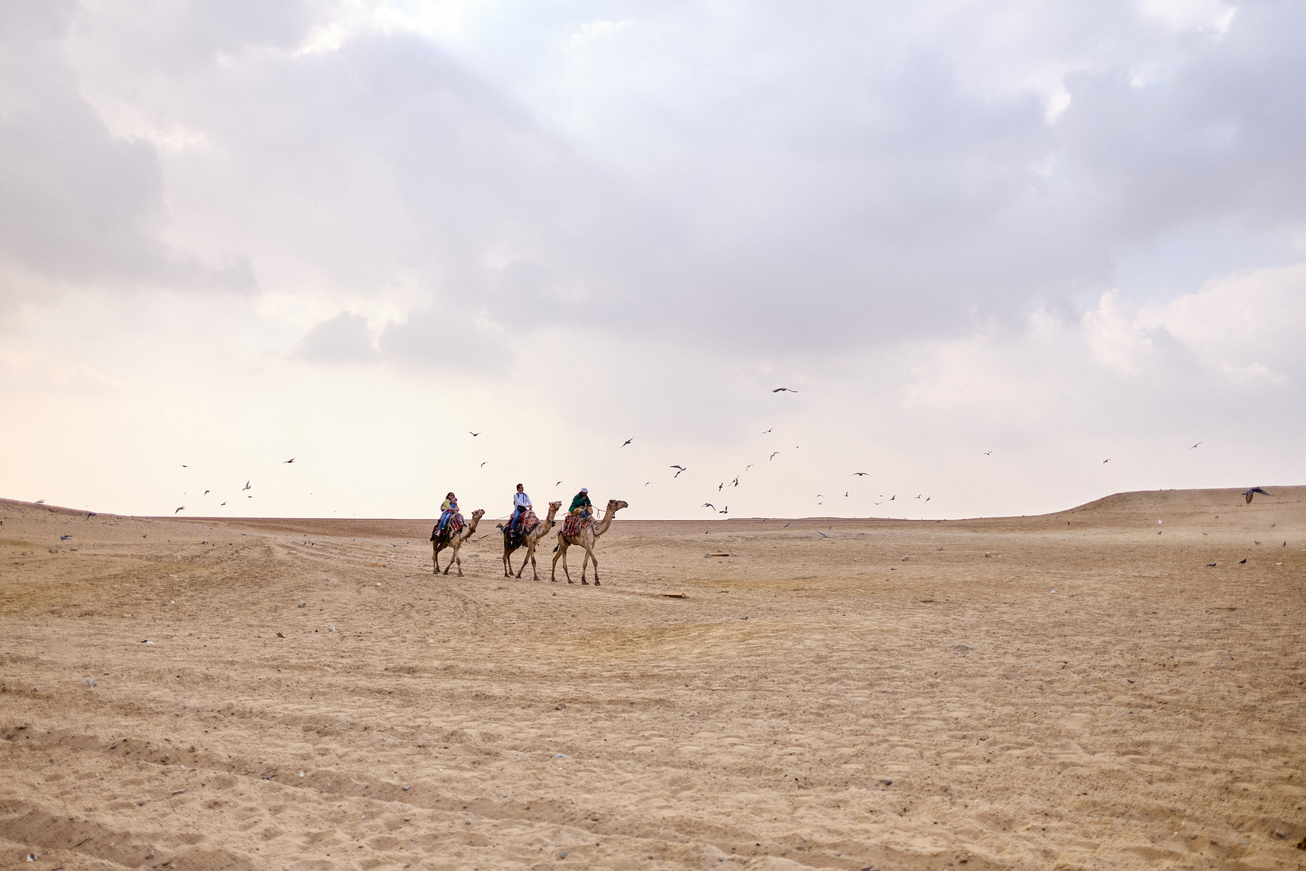 Другое 4. Jorgis — фотограф в Хургаде / обучение фотографии