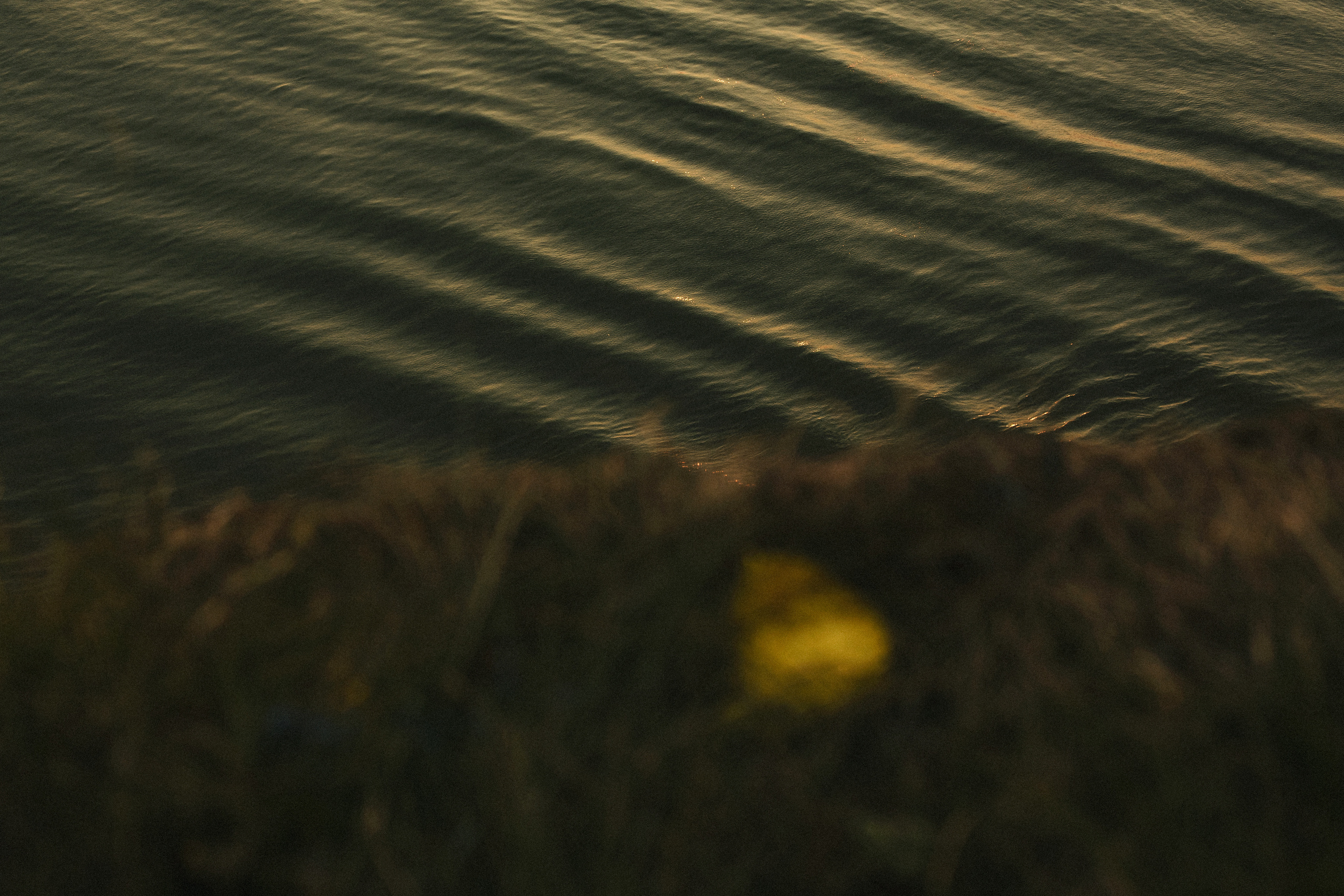 Максим и краски. Портретный фотограф в Кемерово Алеся Цайтлер