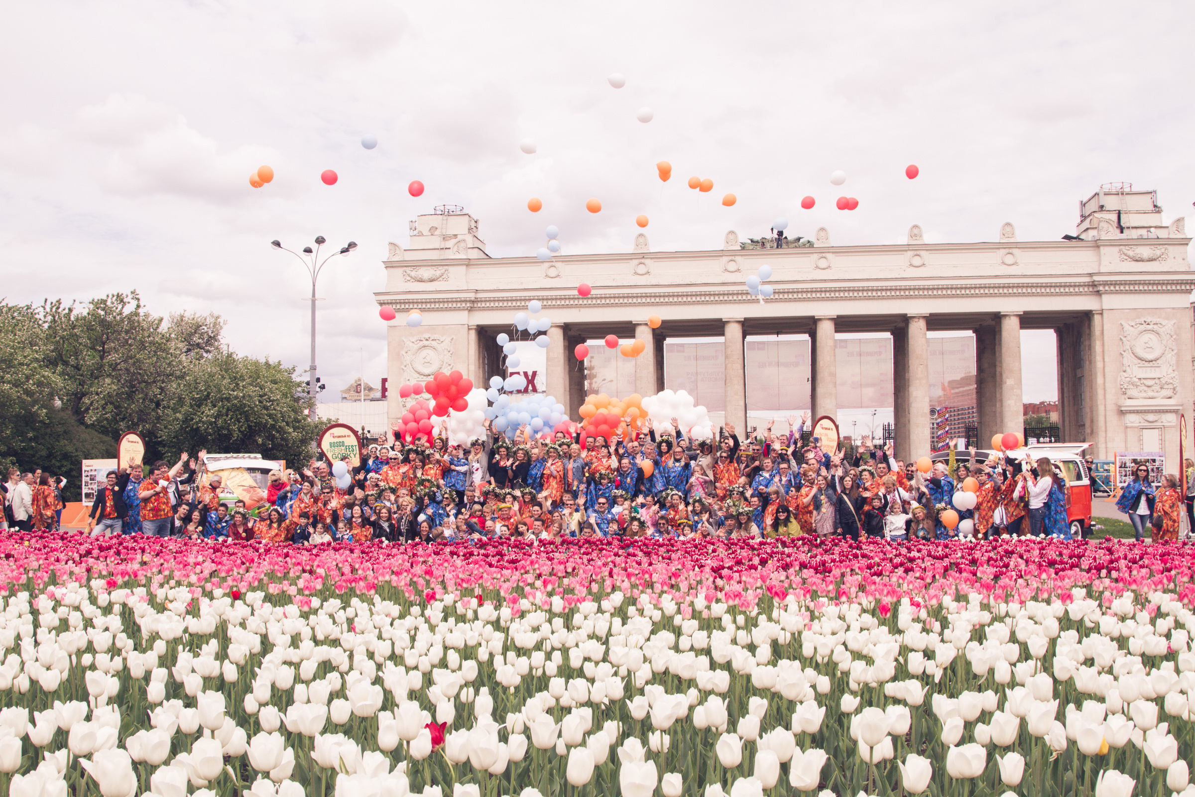 Черешневый лес. Фотограф Алексей Иголкин в Воронеже