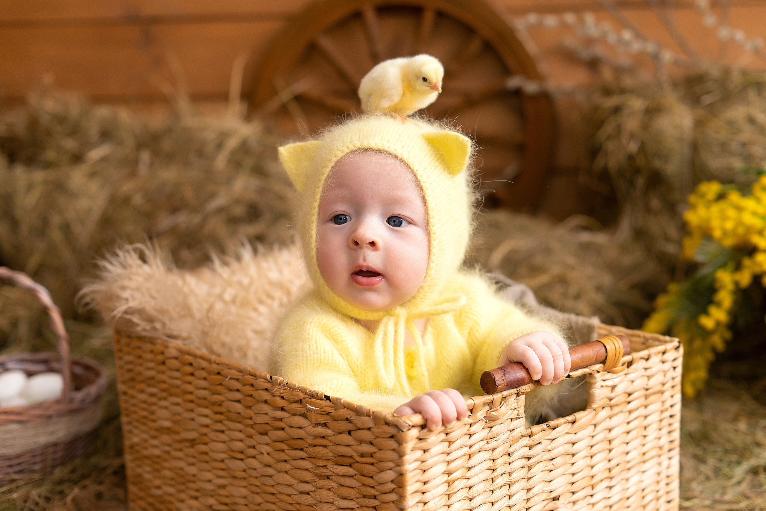 Семья и Малыши. Фотограф в Новосибирске