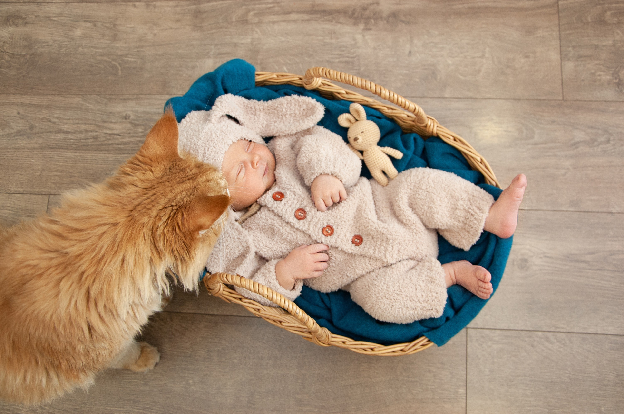 Новорожденные. Dutova-art.ru