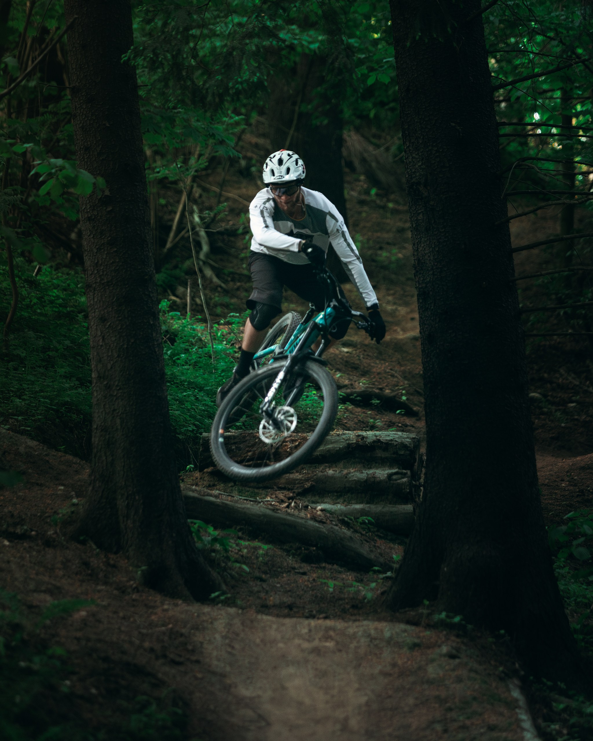 Саша и Ваня. Фотограф анималист Никита Натальный