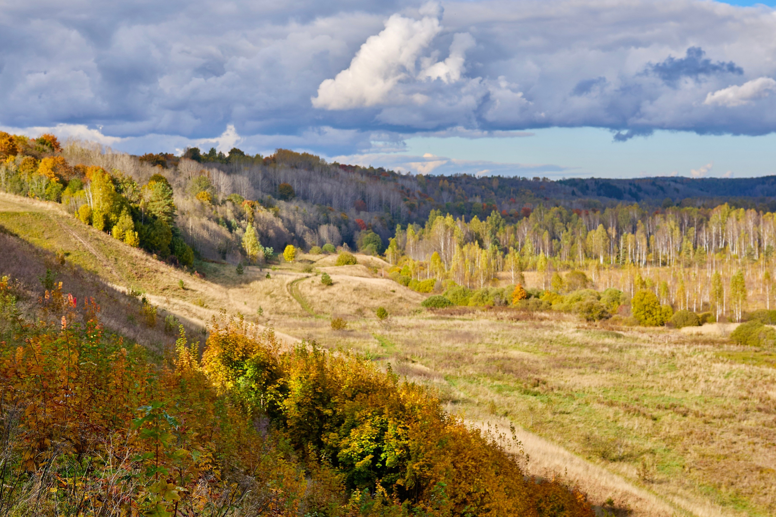 Пейзаж. Фотограф Люся Воробьева