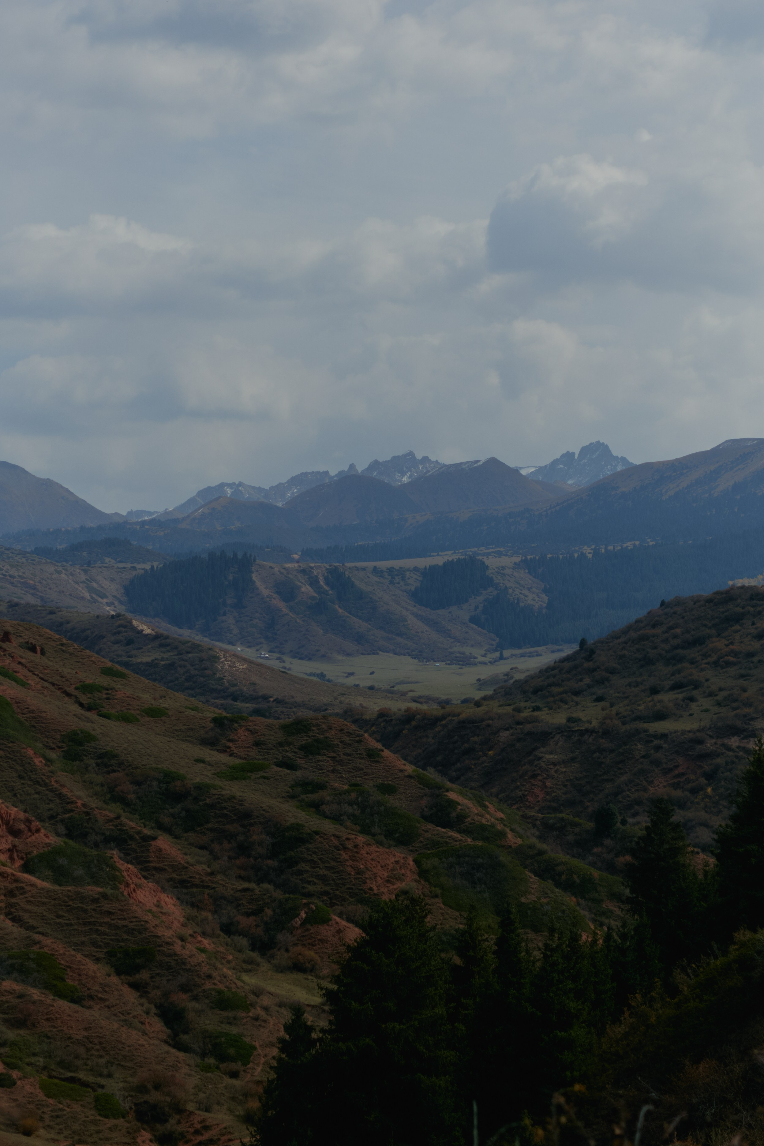 Кыргызтан. Профессиональный Фотограф во Владимире, в Москве и в Суздале — Полина Романычева