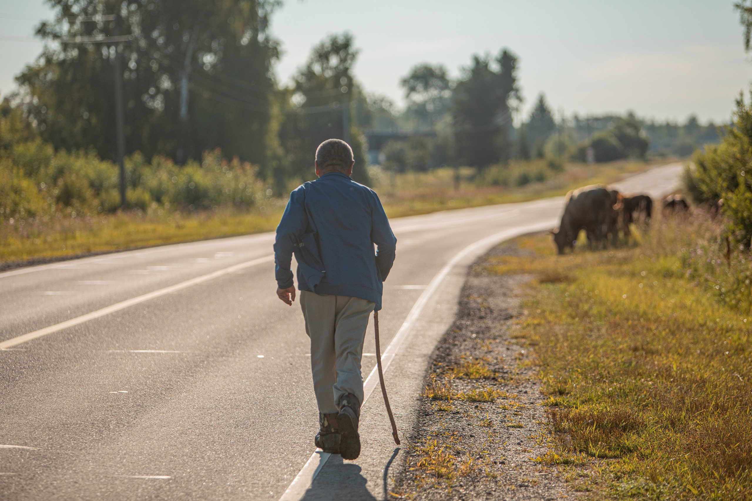 Село Тимирязево, Лухский район. Фотограф Сергей Ловкий