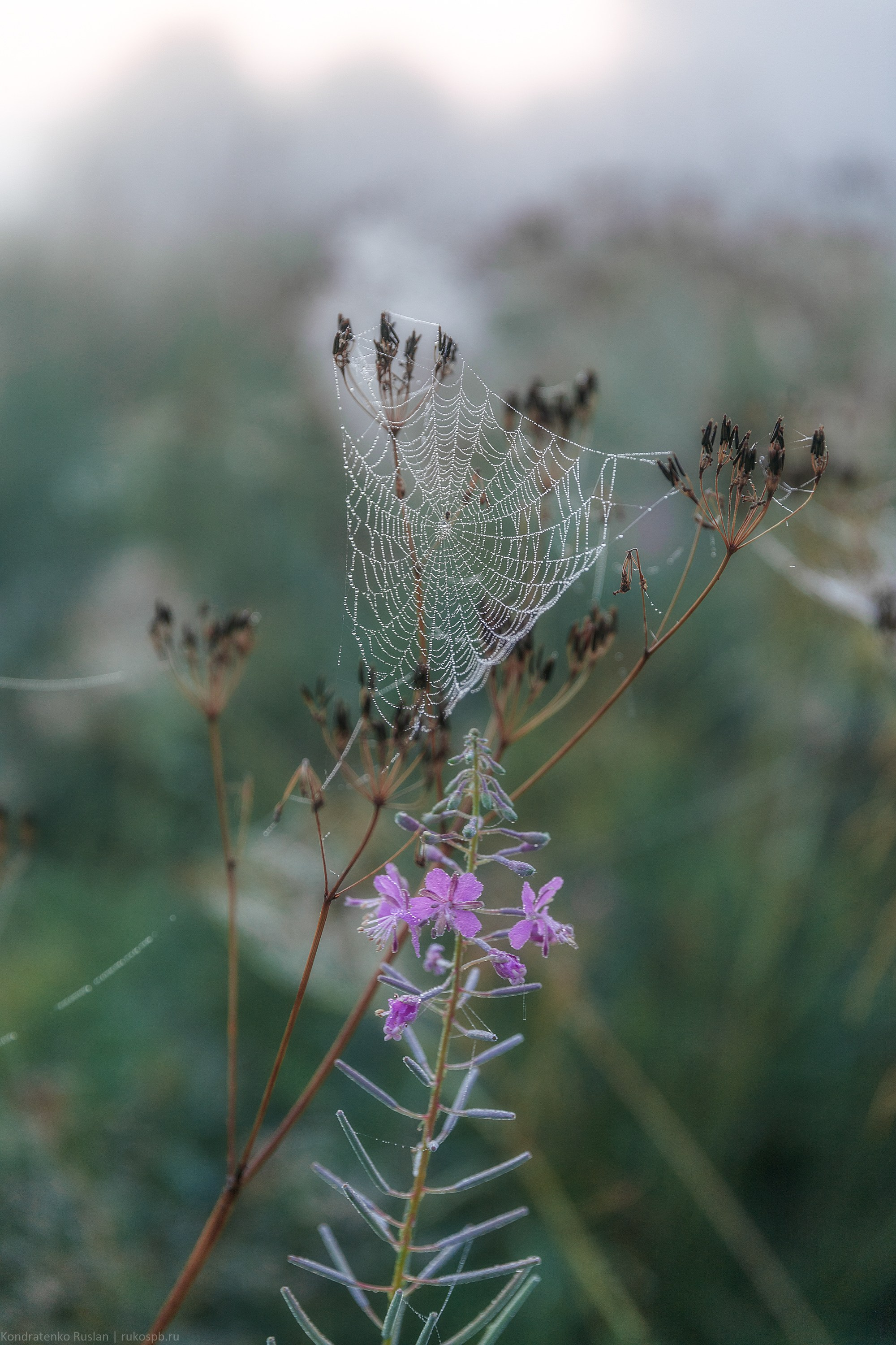 Ленинградская область. Архитектурный и пейзажный фотограф Кондратенко Руслан, Санкт-Петербург