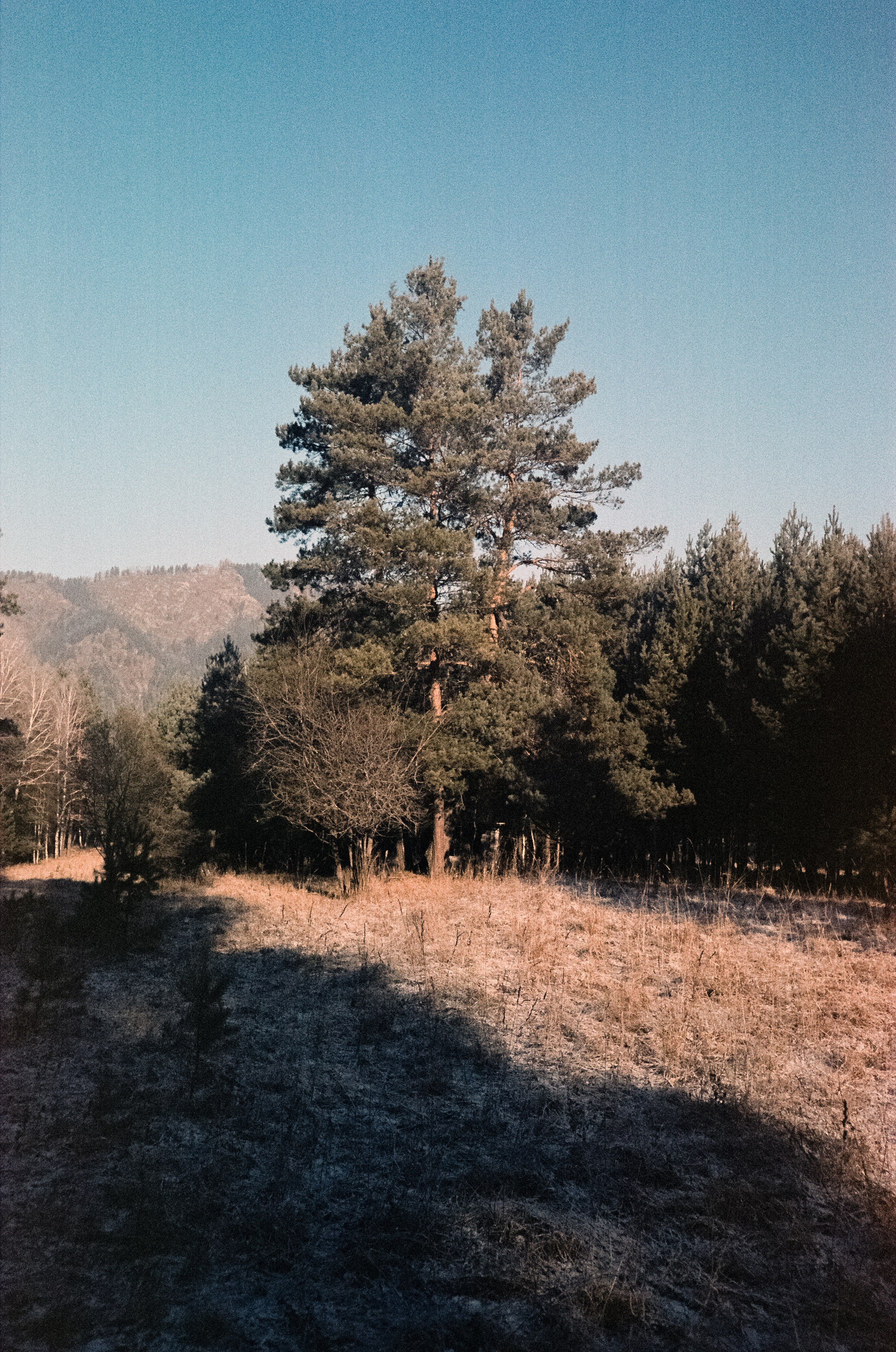 12 декабря: Кедровый остров, Семинская поляна, 13 декабря: поле у верт