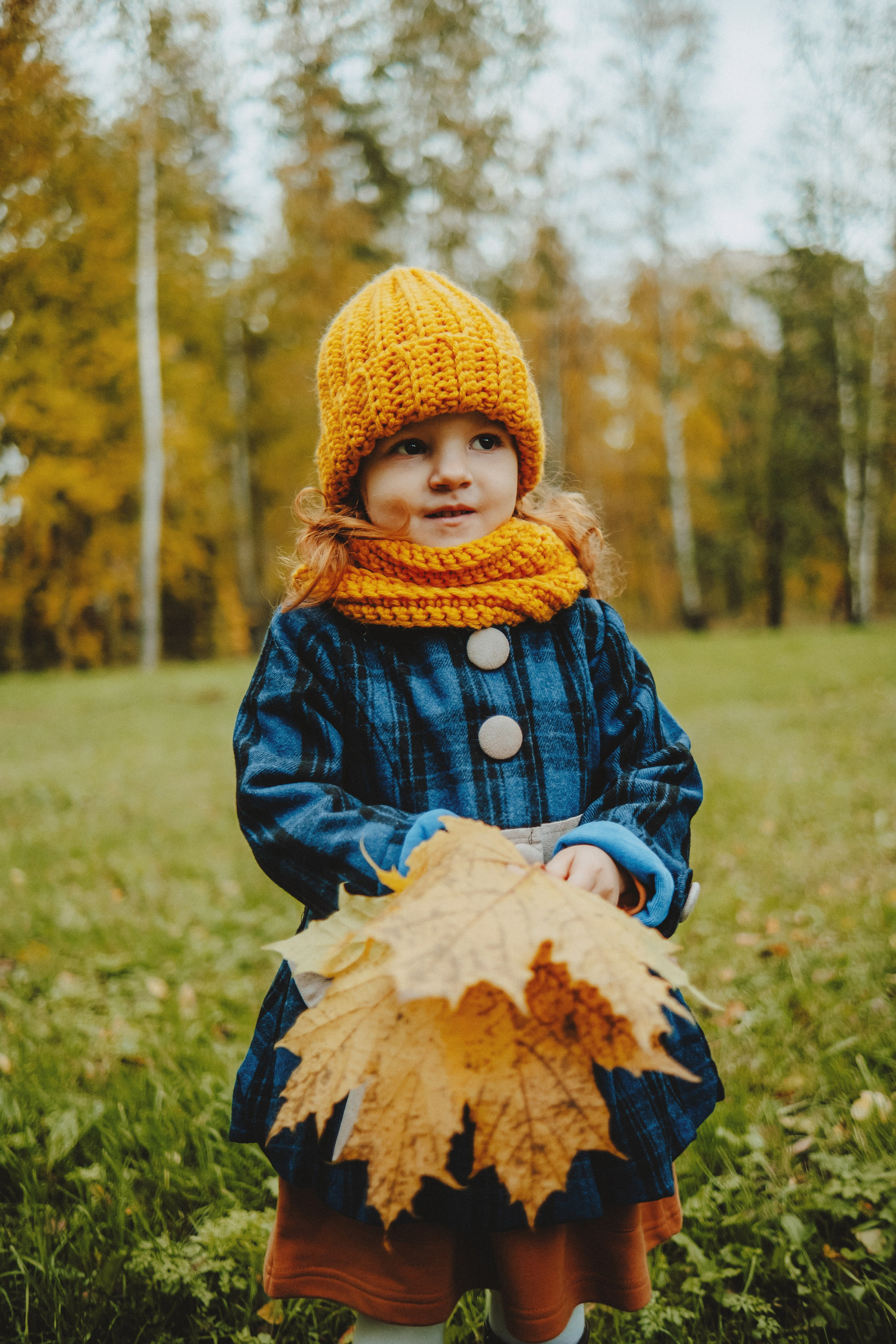 Краски осени. Nattie.ph