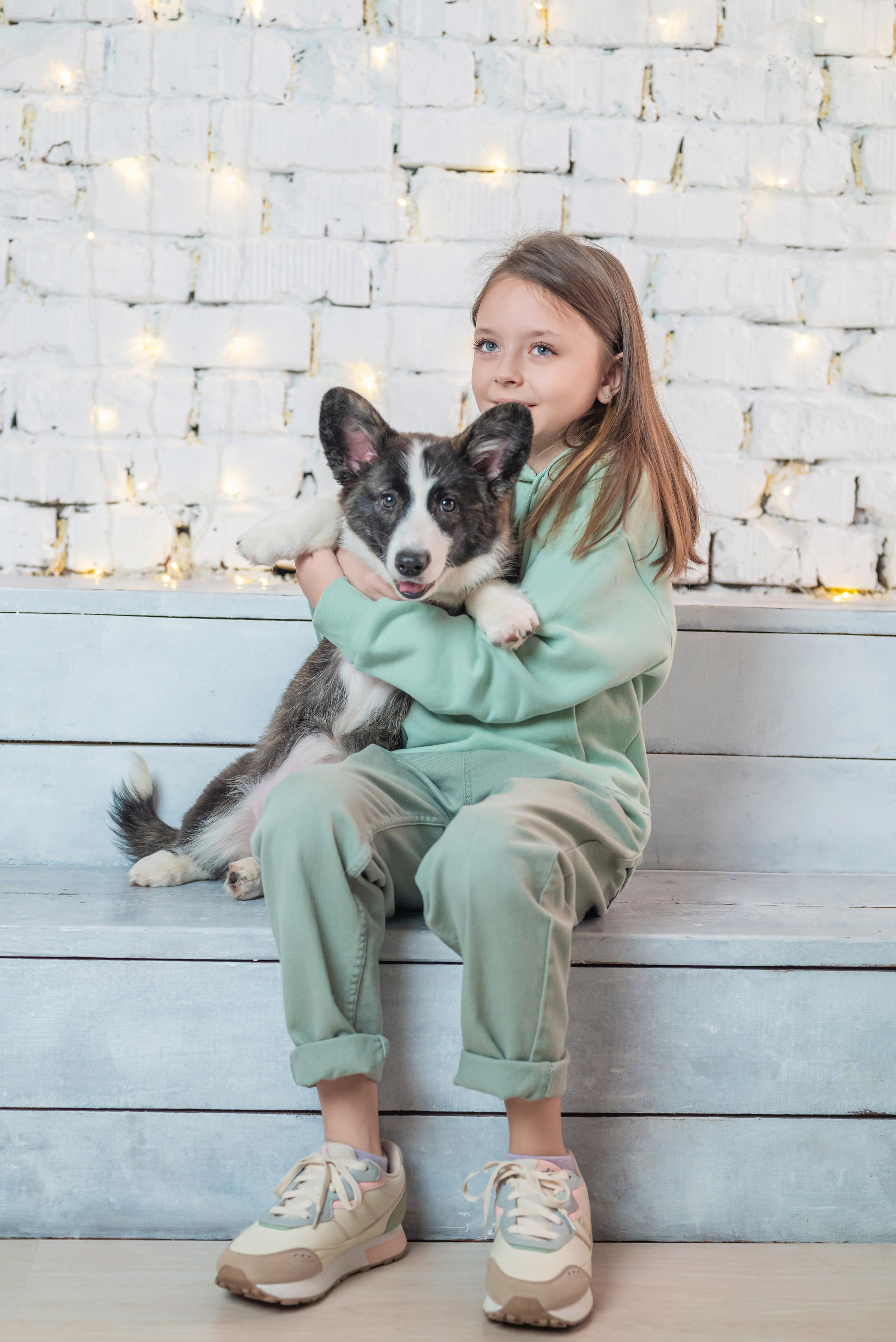 Фотопроект с корги. Фотограф в городе Салават