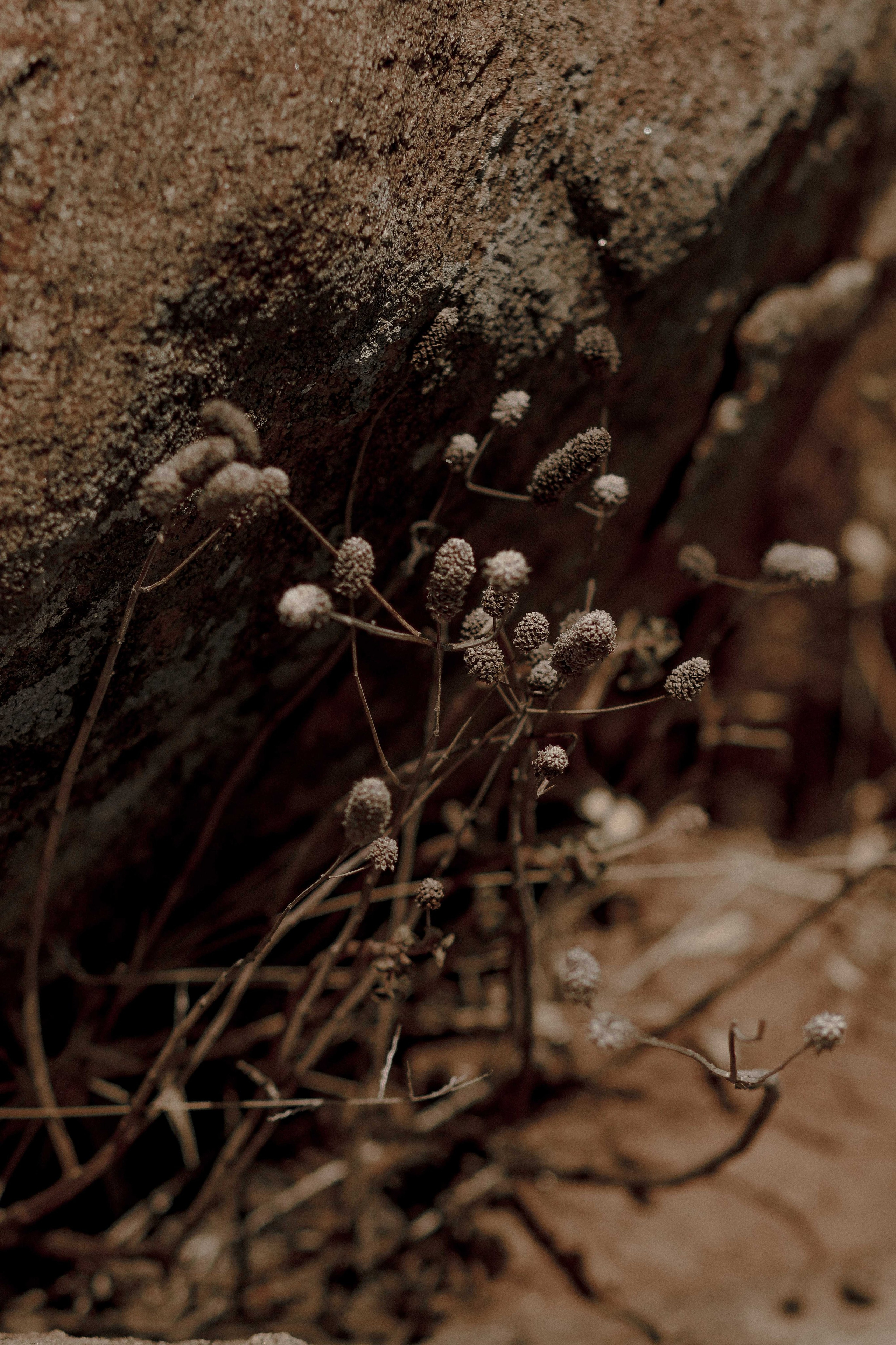 Коллекция украшения из натуральных камней. Фотограф на Шри-Ланке