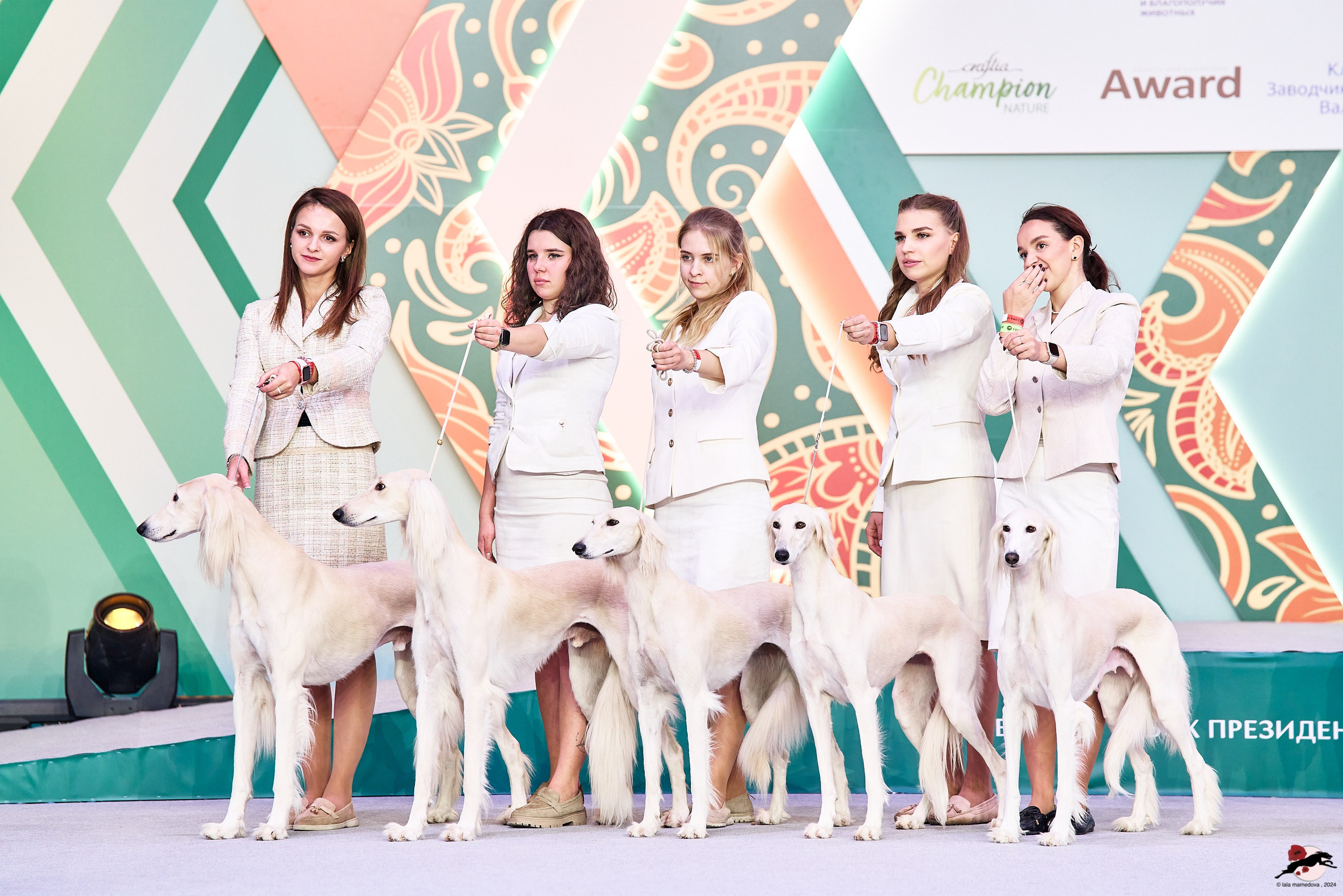 16.11.2024 «ЕВРАЗИЯ. КУБОК ПРЕЗИДЕНТА РКФ 2024»