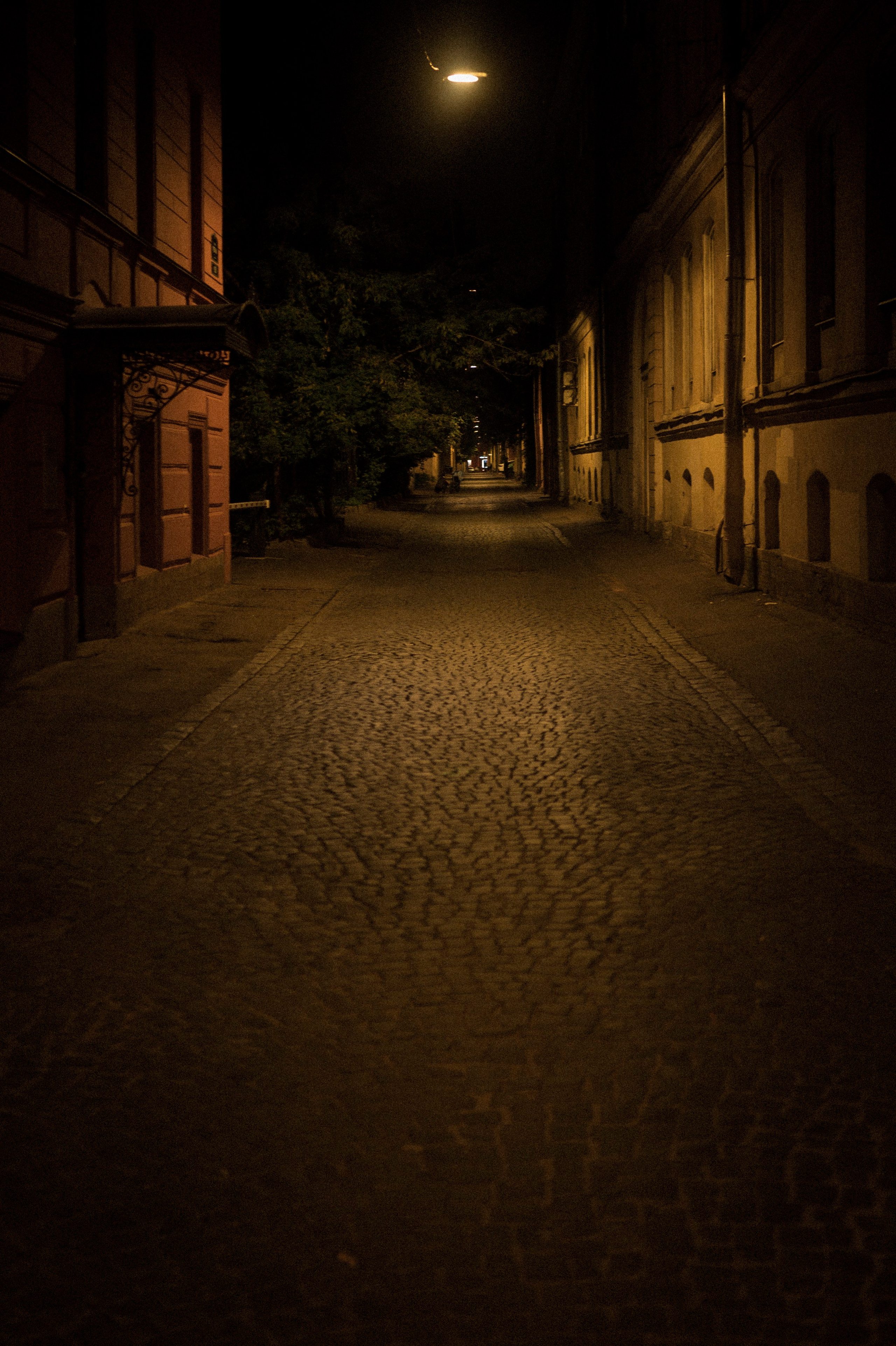 North 2024. Kartascheff