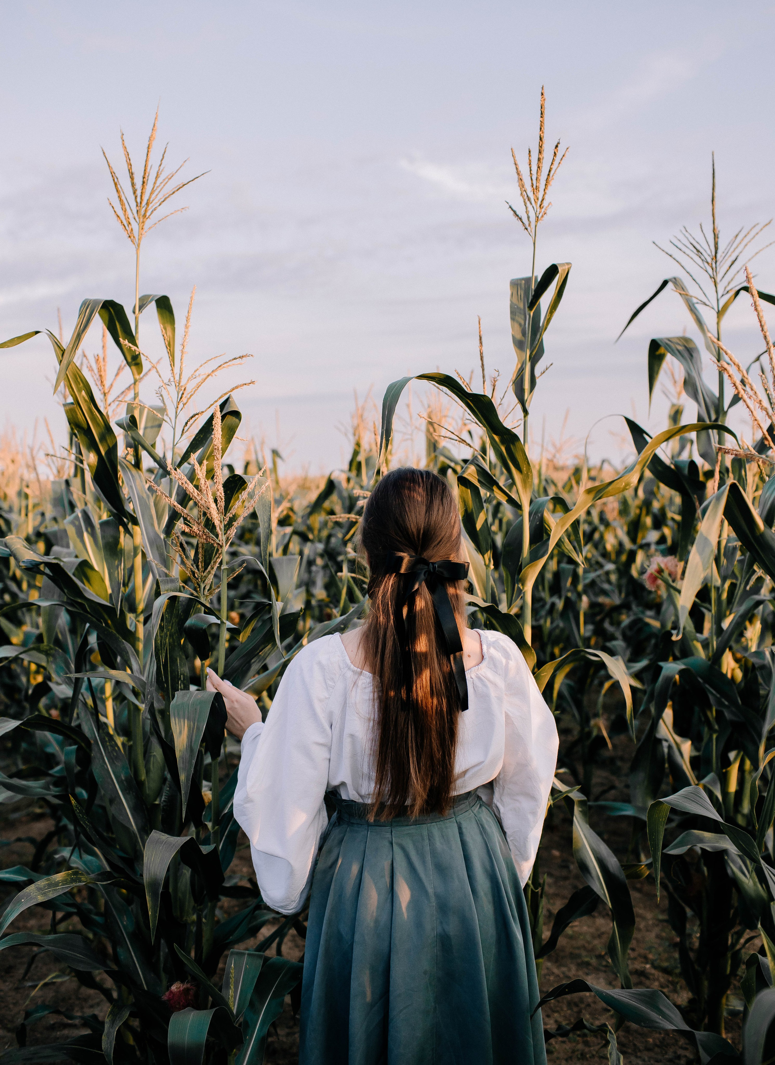 Кукурузные истории. Фотосессии Фотодни Псков СПб