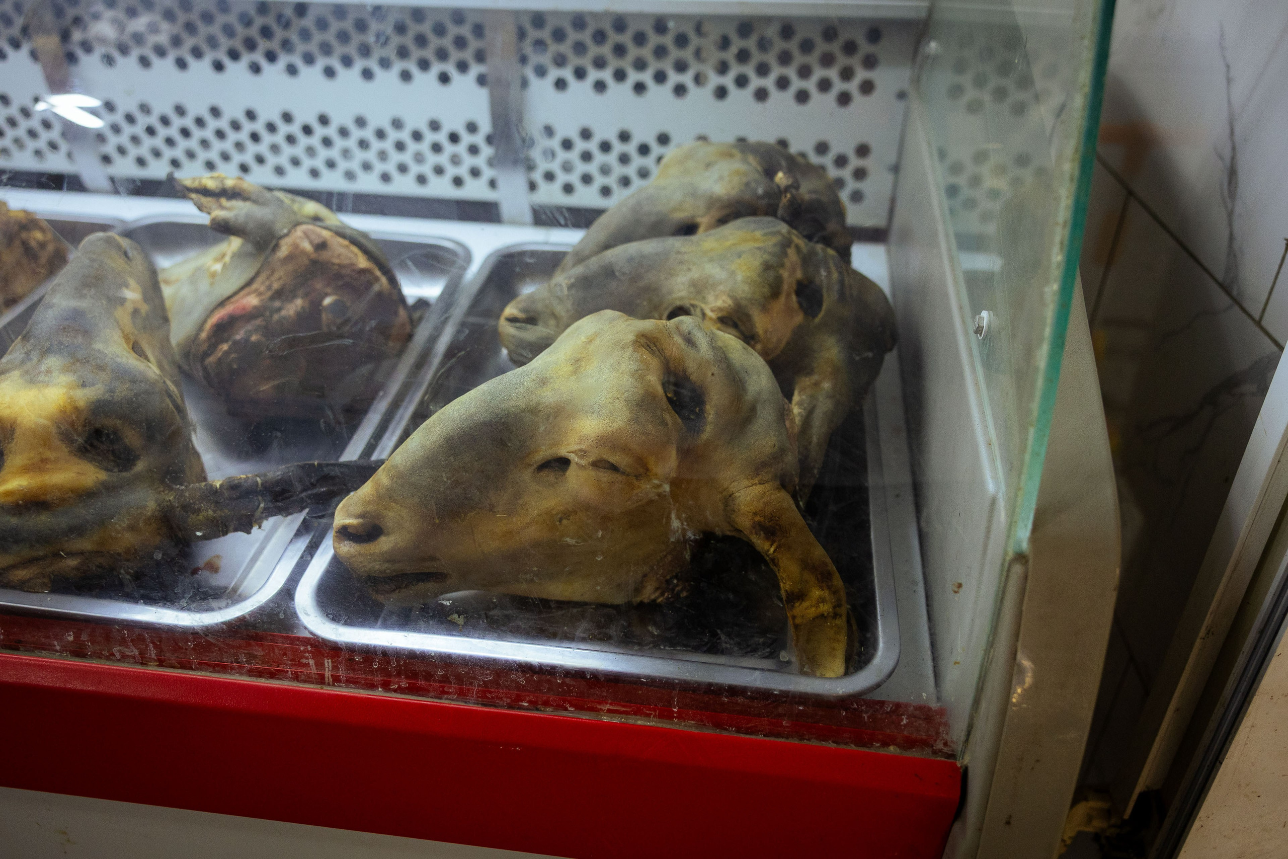 Кыргызстан (весна 2025). Фотограф Виноградов Константин