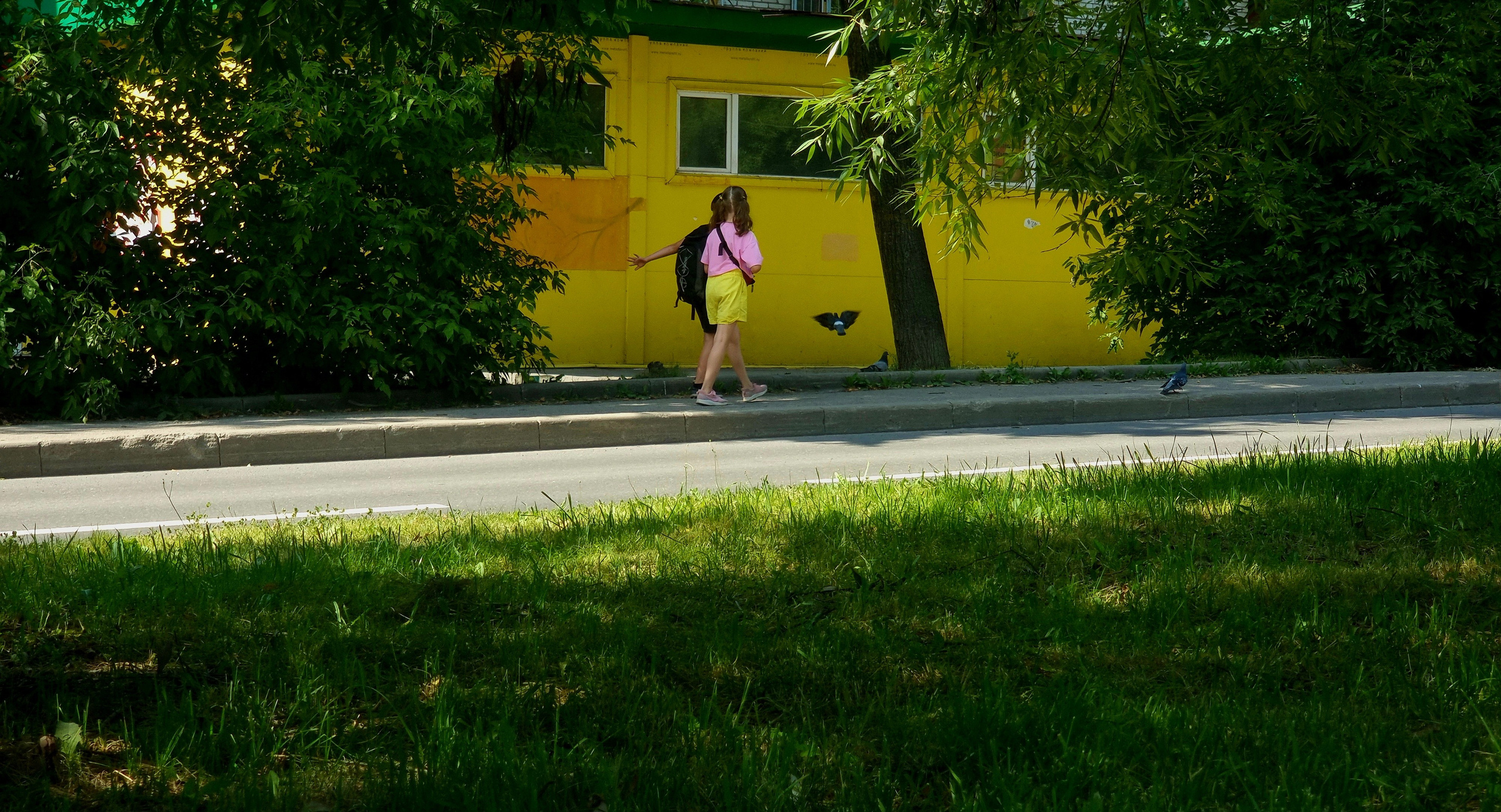 Июль 2025. Den Mirov — Фотограф, Музыкант