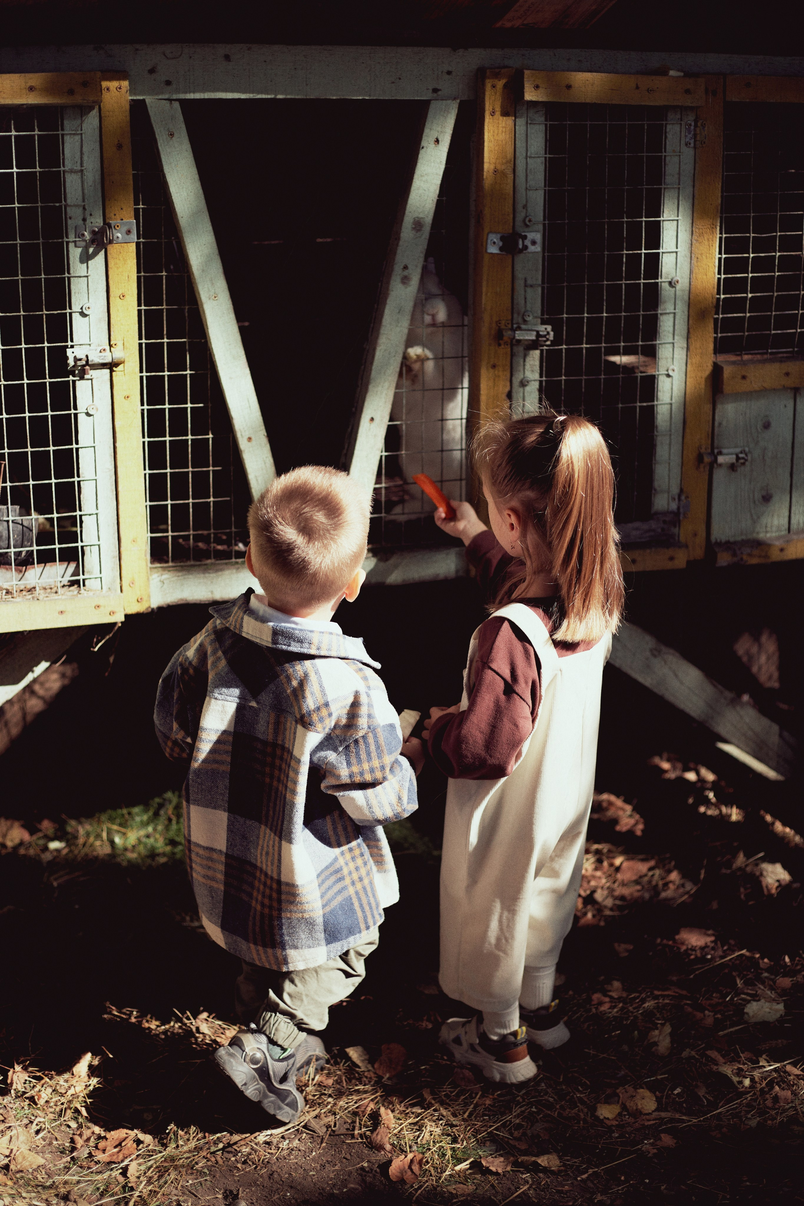 Зоопарк. Фотограф Ионова Анастасия, г Владивосток