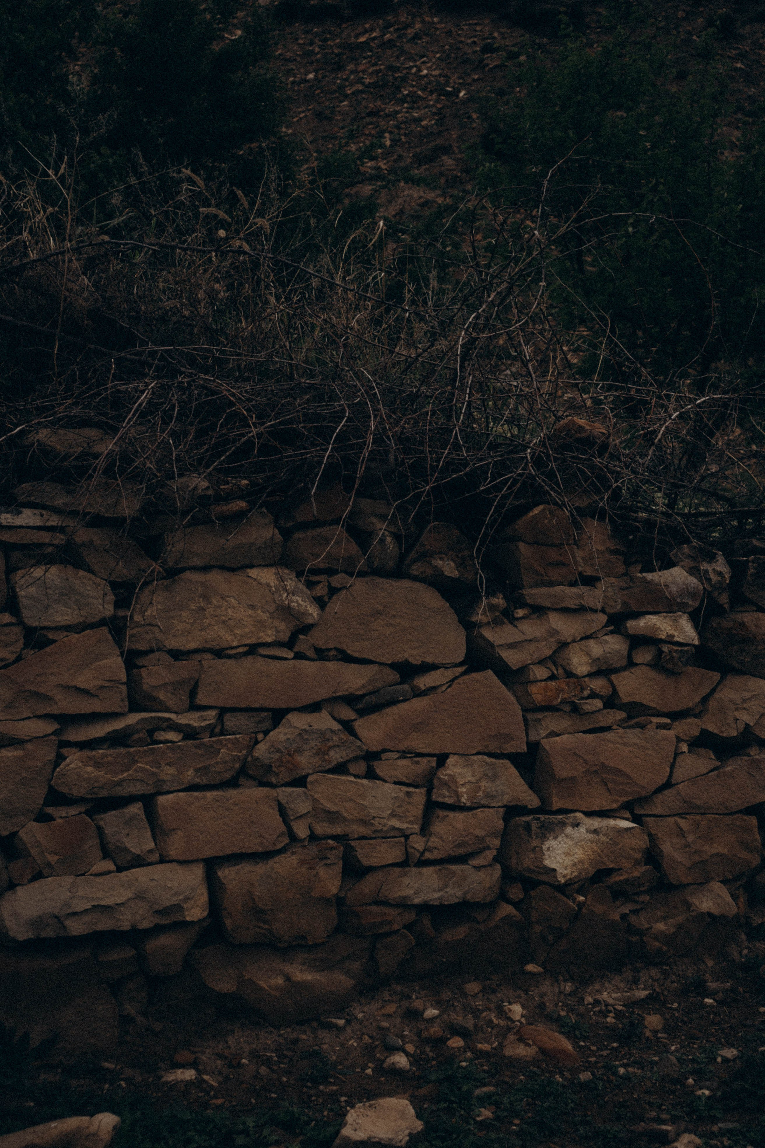 Кавказ. Профессиональный фотограф, Санкт-Петербург — Виктория Богомолова