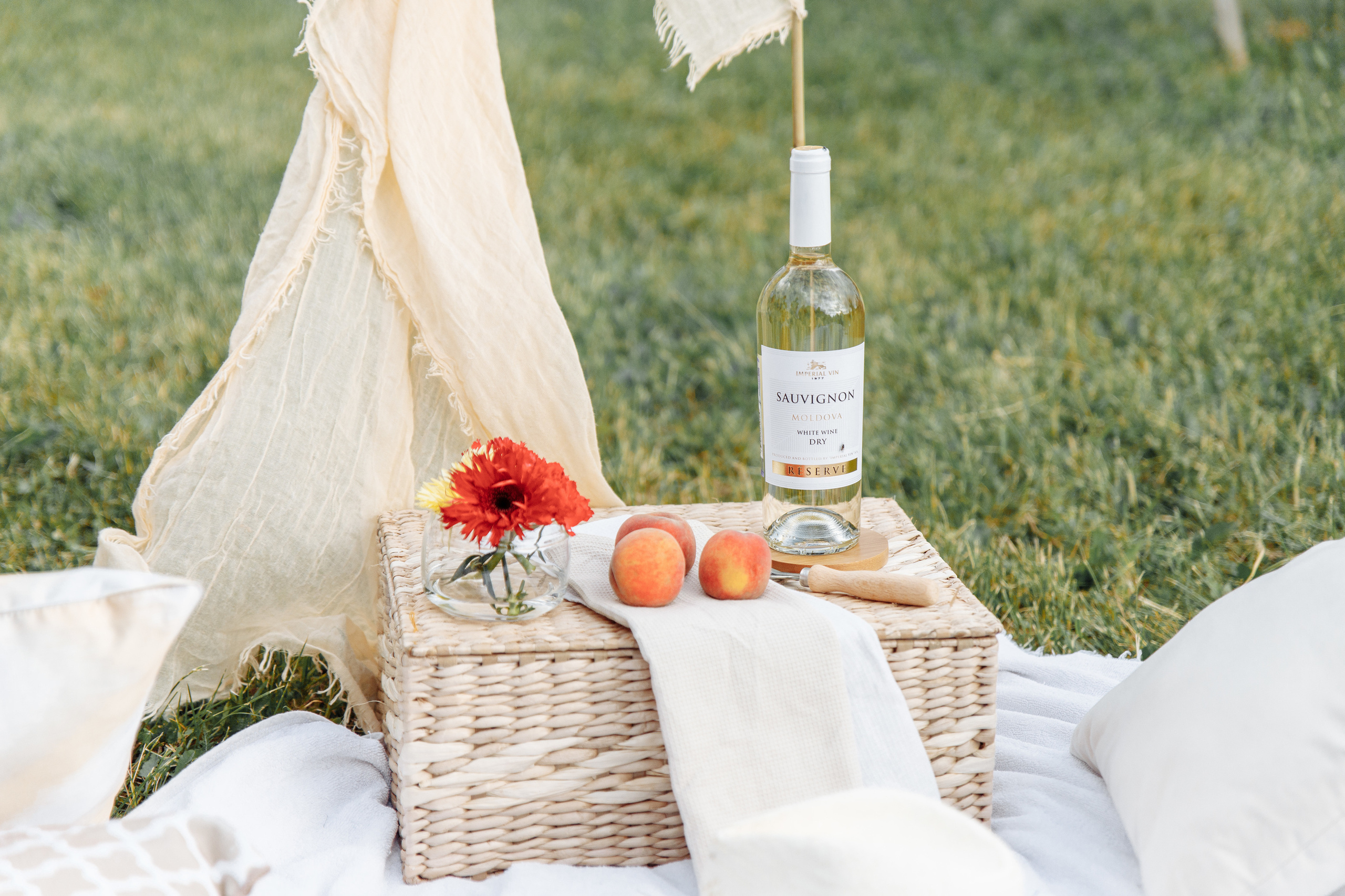 Никон и Вероника