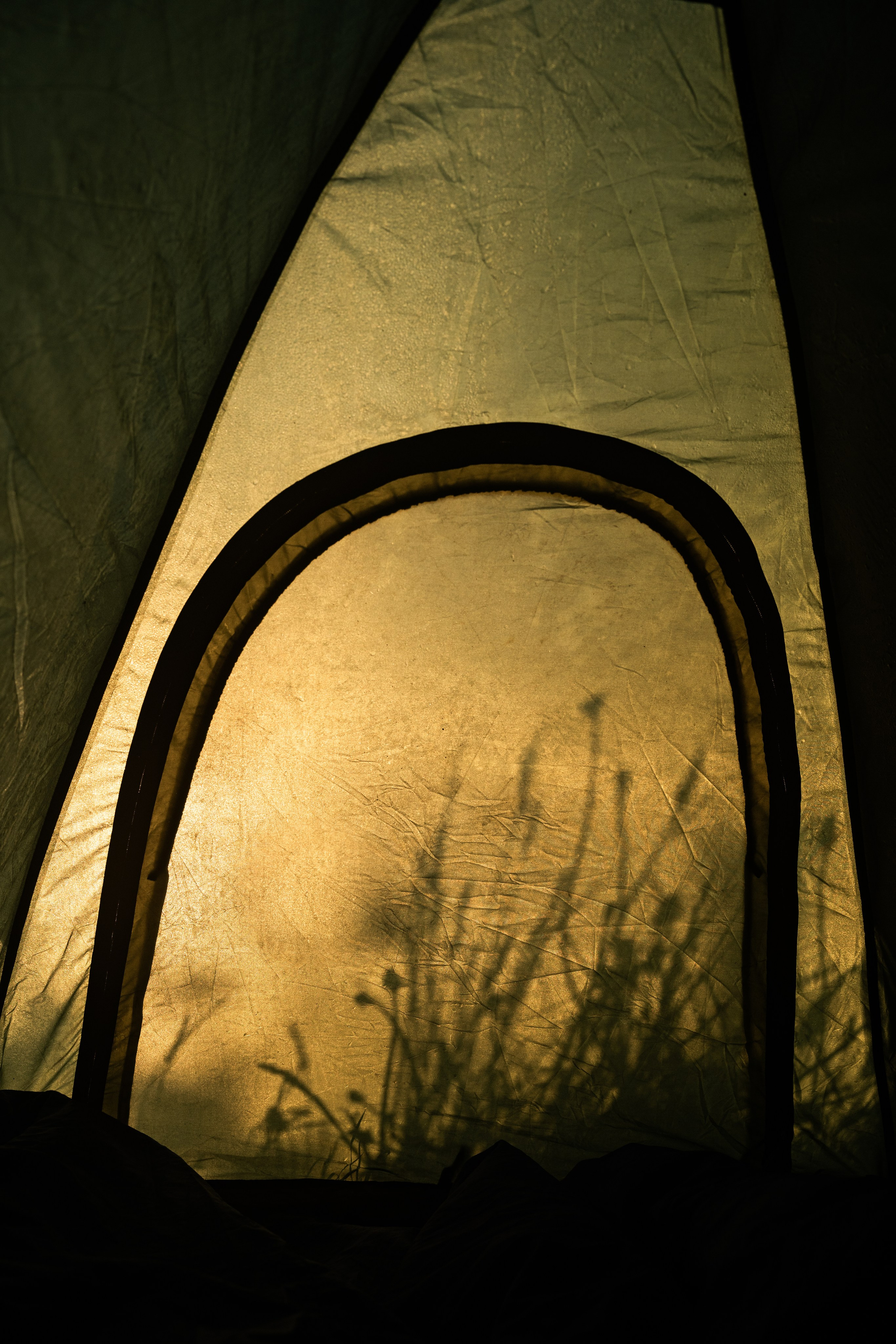 Встреча лета на озере Донцо. Предметный фотограф Санкт-Петербург