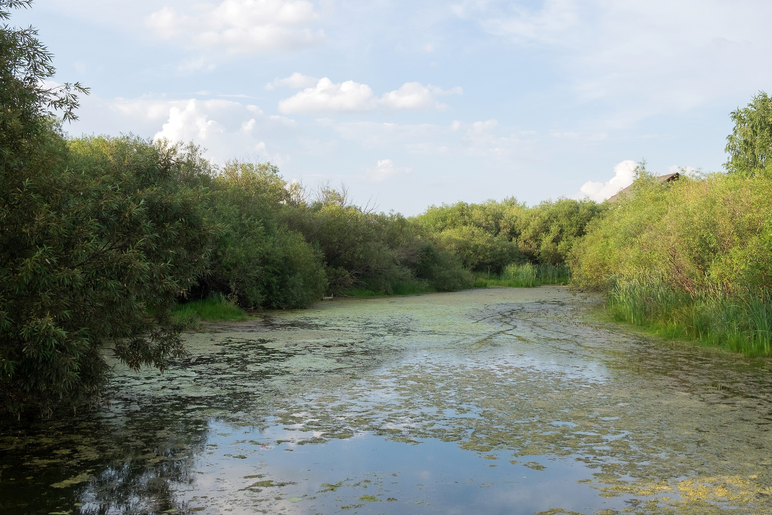 Landscapes. Стас Понятовский