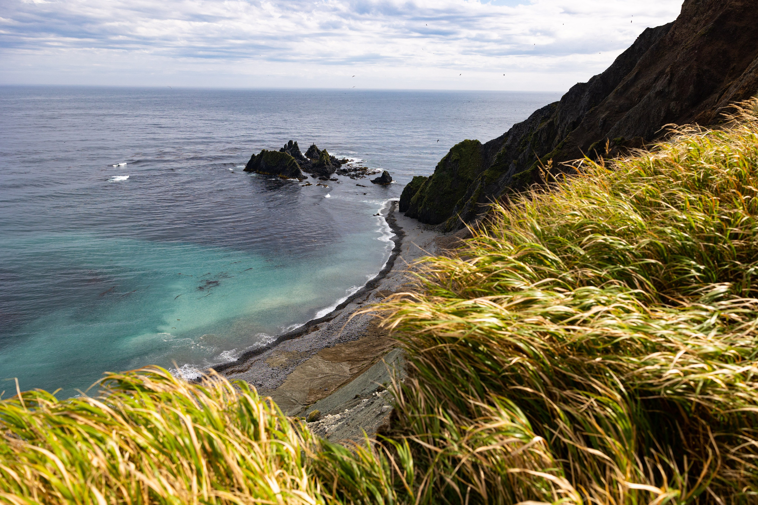 Экспедиция по Северным Курильским островам с Vasta. Фотограф Красная Поляна — Сочи — Москва