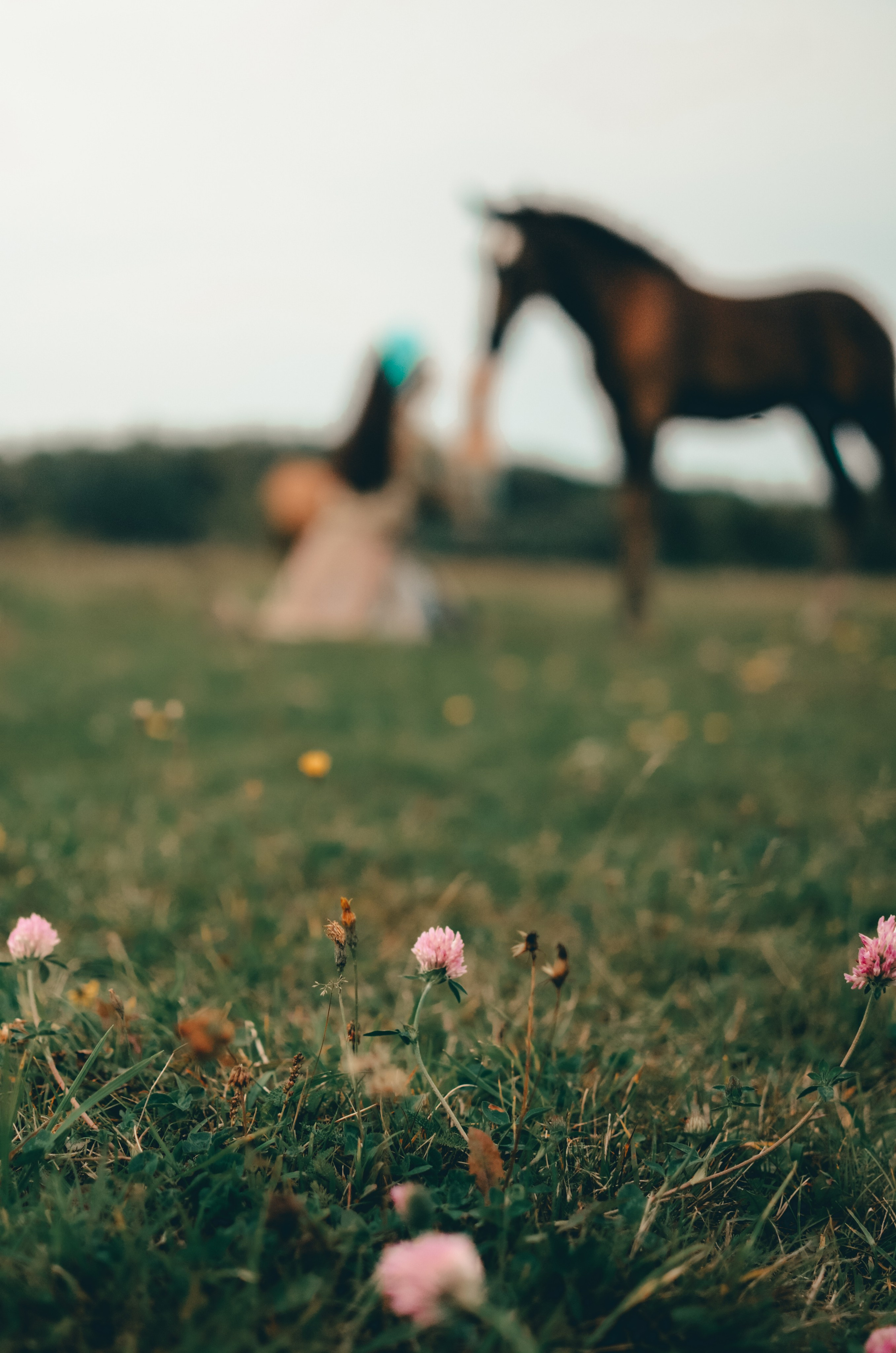 Love story. Семейный фотограф г. Москва