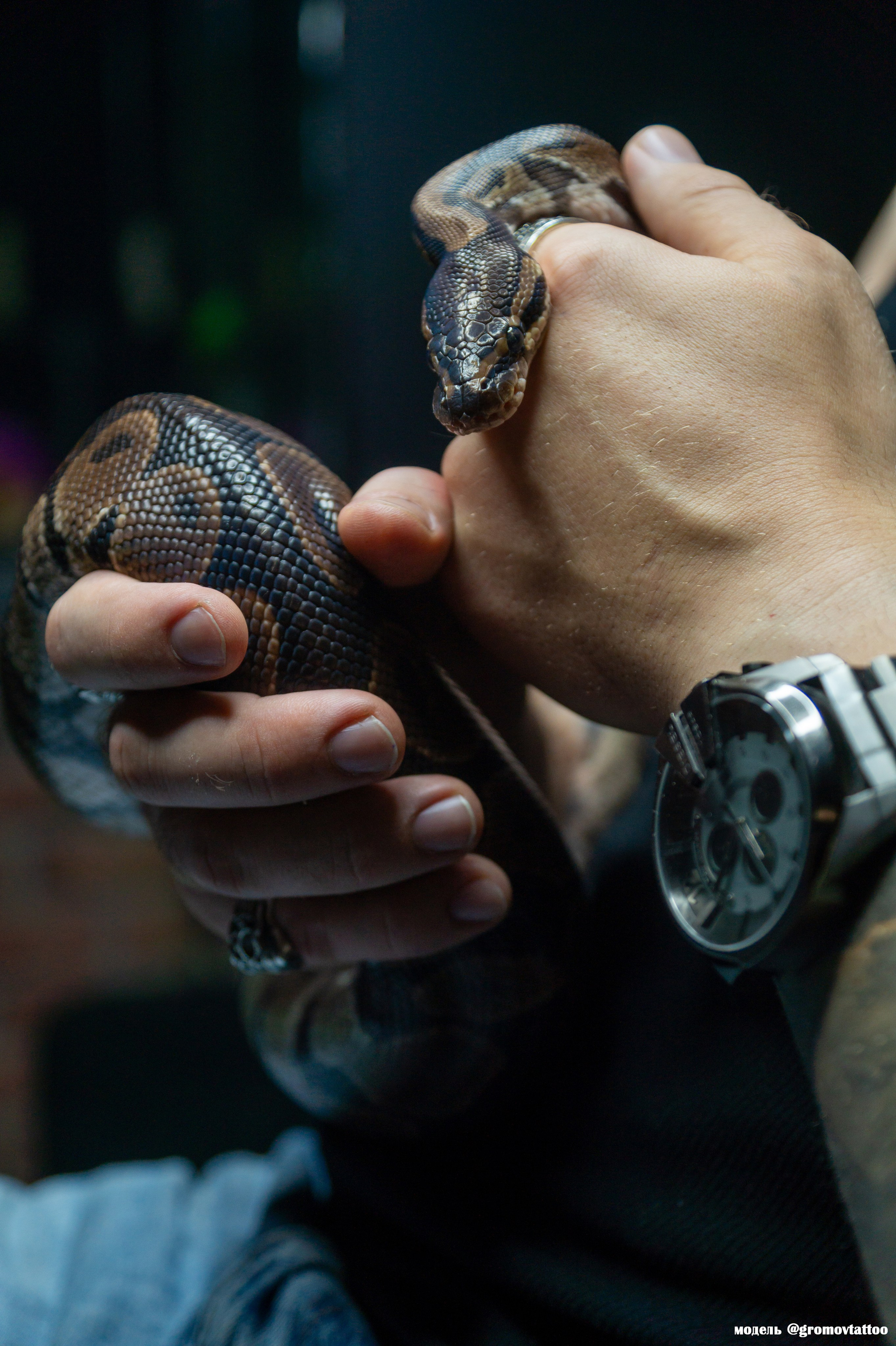 Studio photos. Team of creative photographers. Family, wedding photos